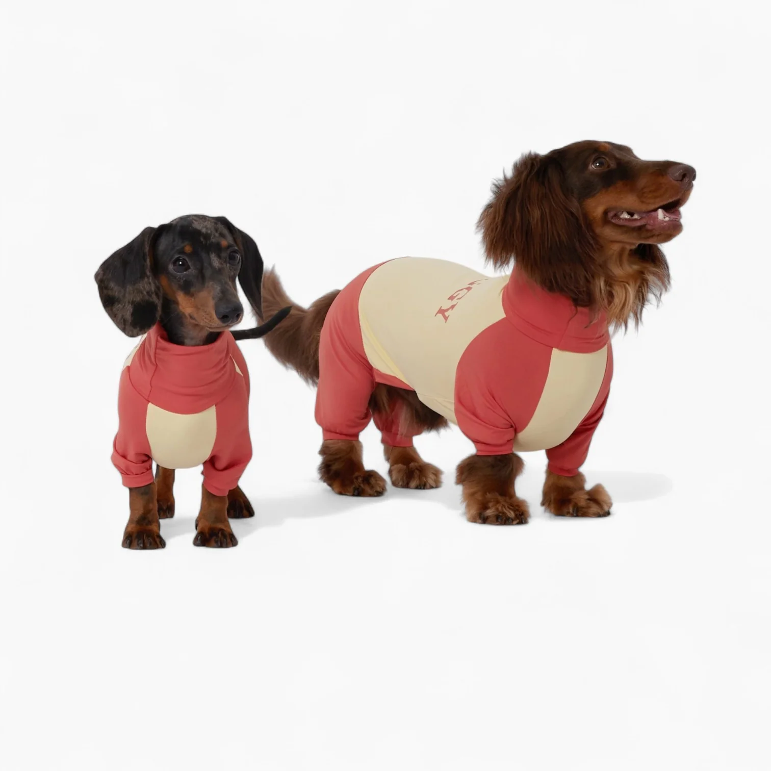 SunPup Dachshund Summer Jumpsuit – Lightweight UV-Protective Outfit
