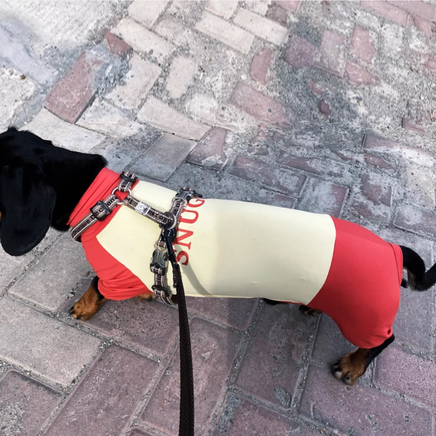 SunPup Dachshund Summer Jumpsuit – Lightweight UV-Protective Outfit - Image 3