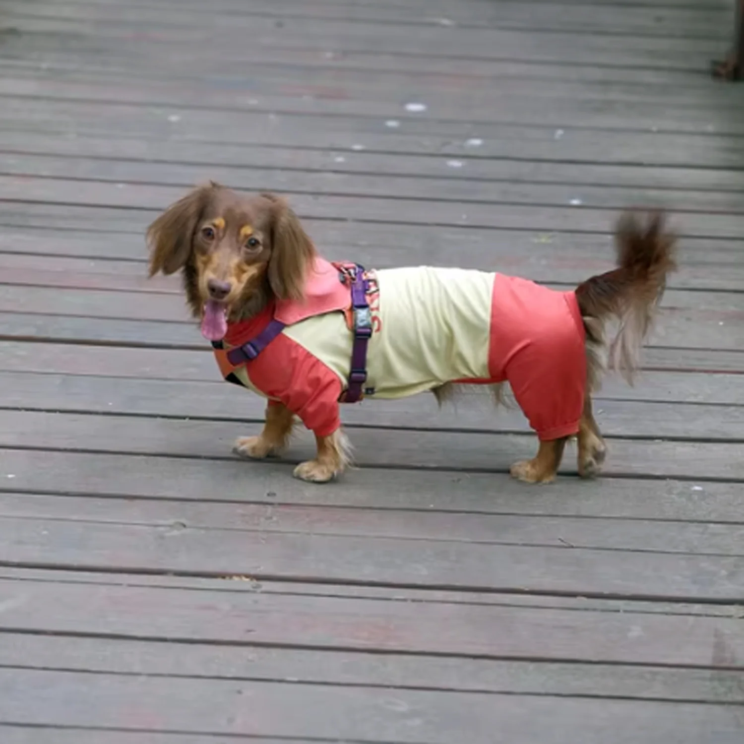 SunPup Dachshund Summer Jumpsuit – Lightweight UV-Protective Outfit - Image 6