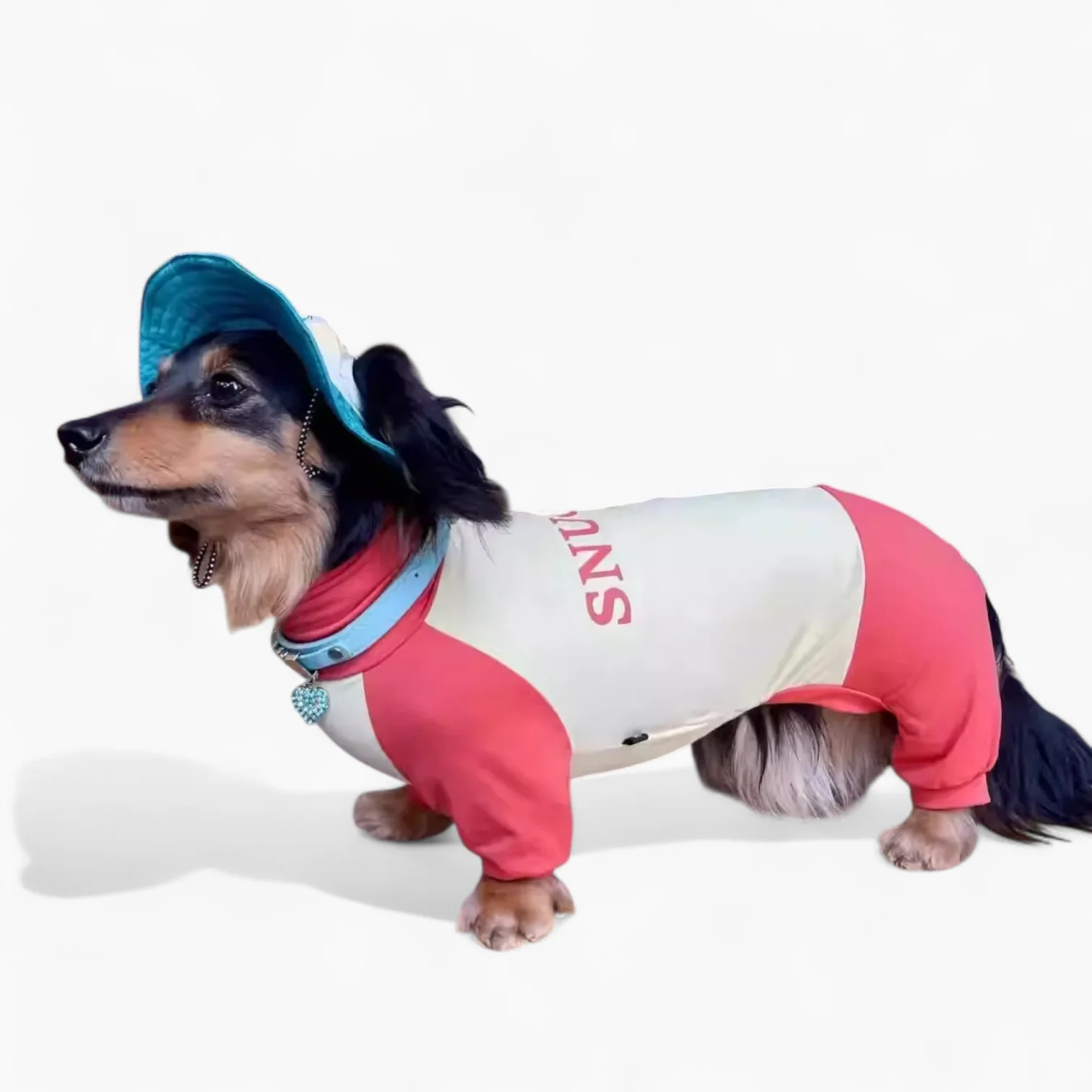 SunPup Dachshund Summer Jumpsuit – Lightweight UV-Protective Outfit - Image 7
