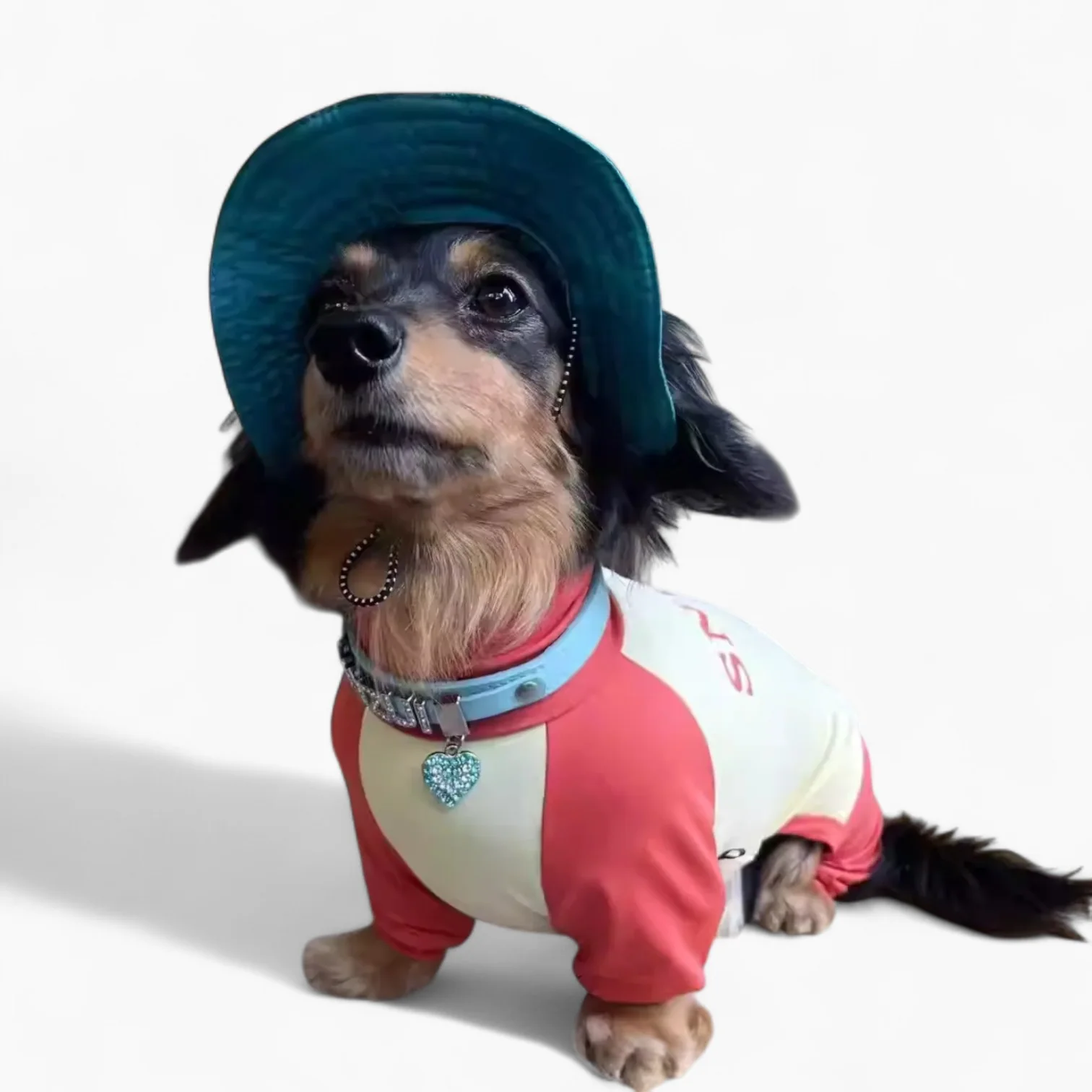 SunPup Dachshund Summer Jumpsuit – Lightweight UV-Protective Outfit - Image 8