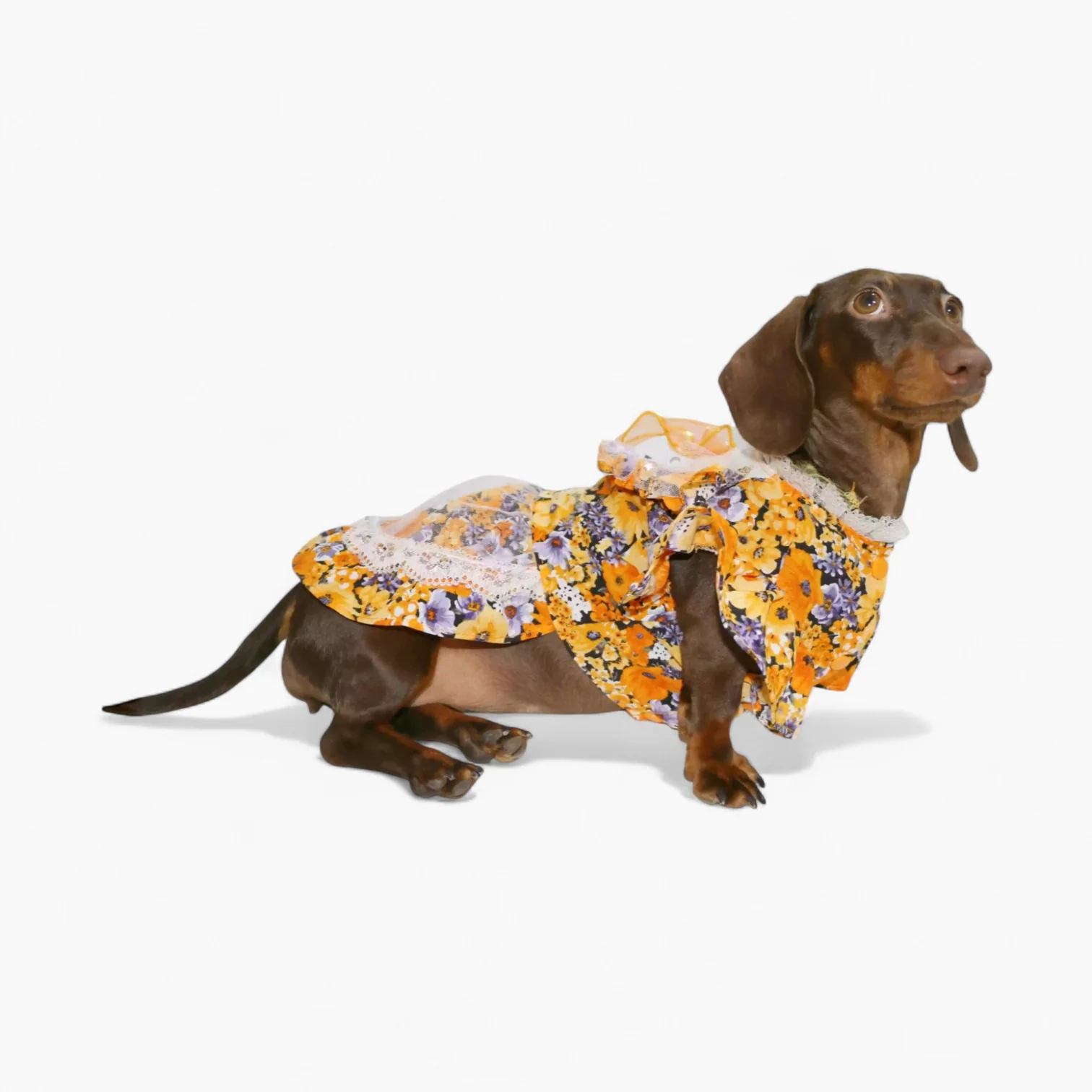 BloomBow Dachshund Summer Dress – Floral Print Breathable Flower Dress - Image 2