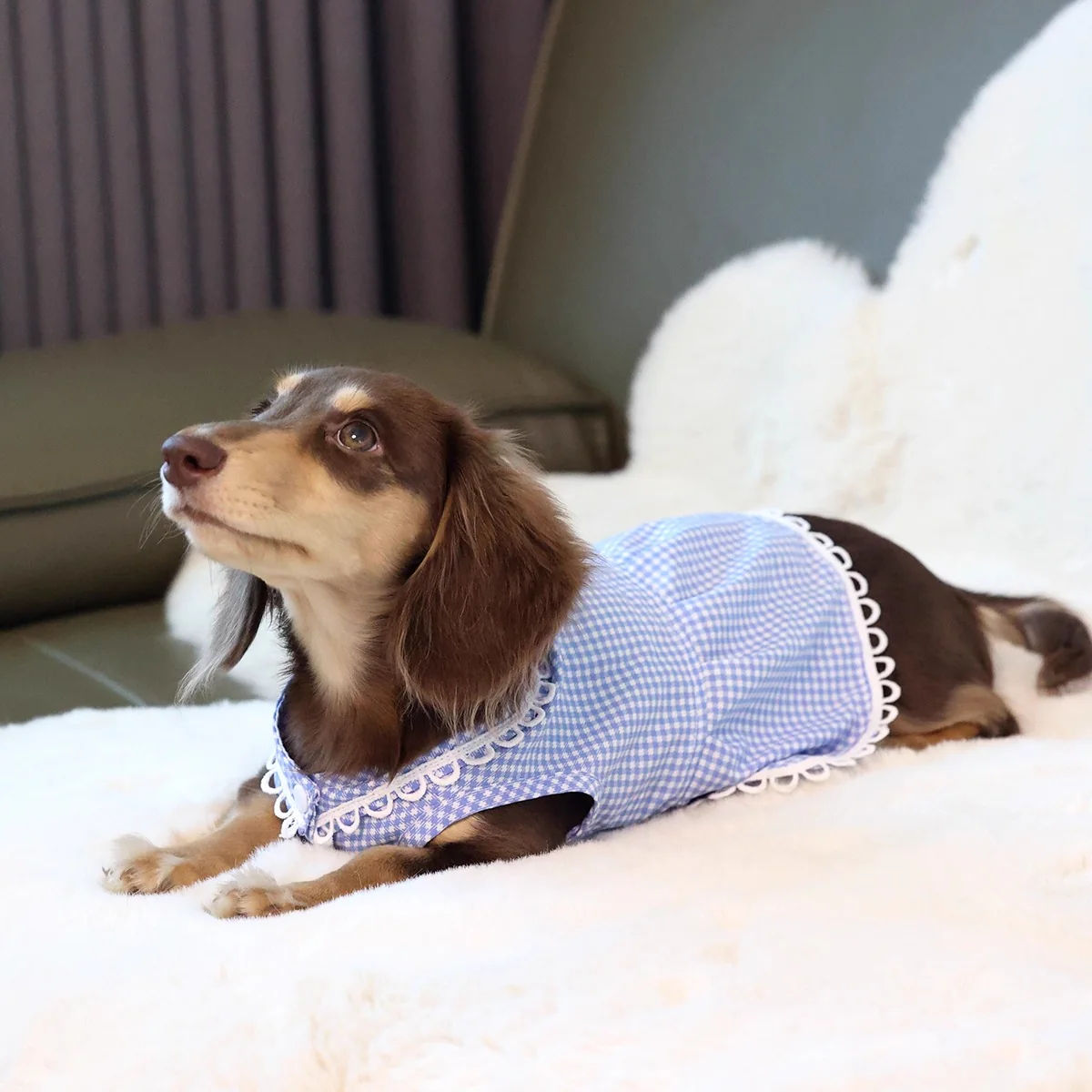PlaidCharm Dachshund Summer Dress – Lightweight Cute Doll Collar Outfit - Image 3