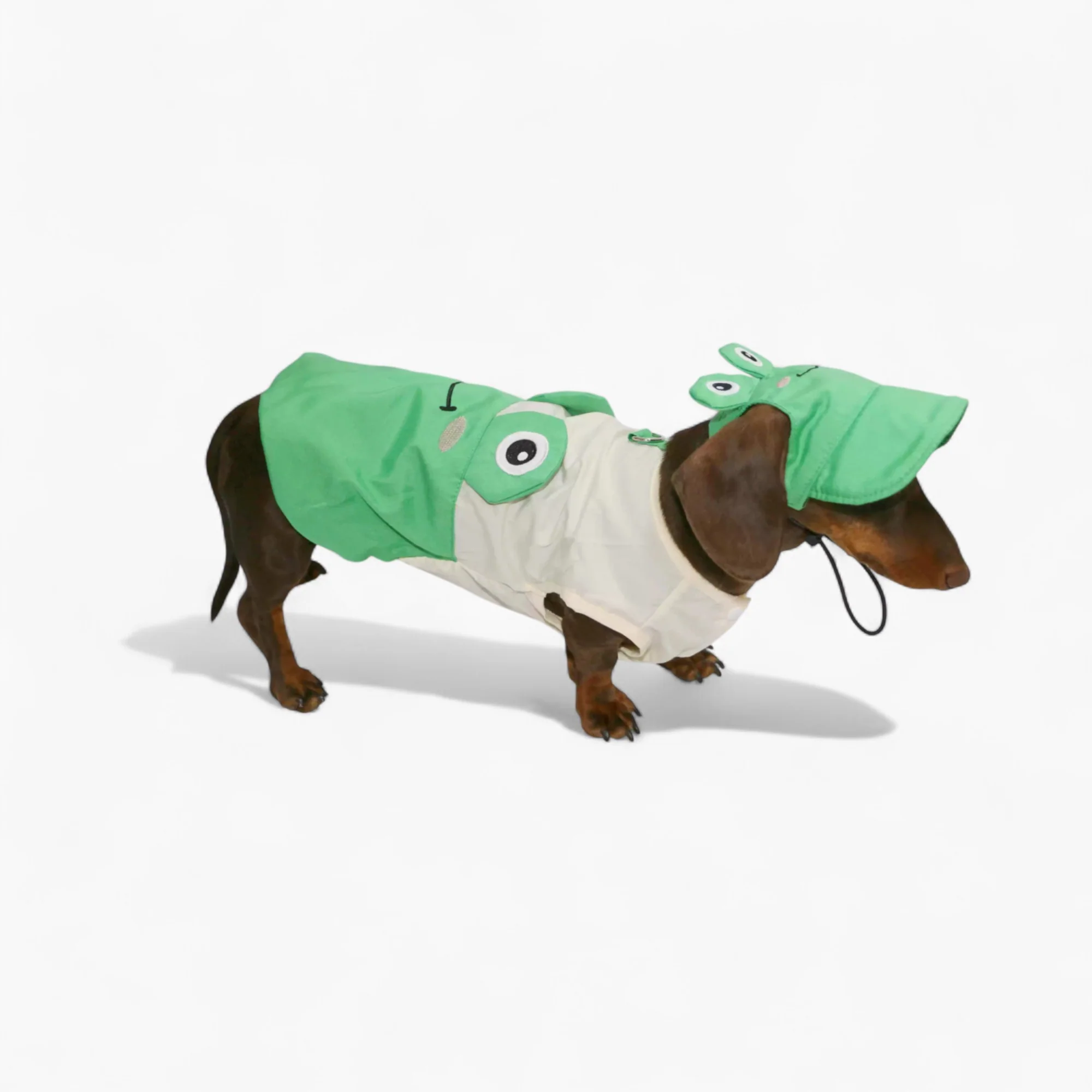 ToadFit Dachshund Summer Suit – Lightweight Breathable Frog Costume with Hat - Image 3