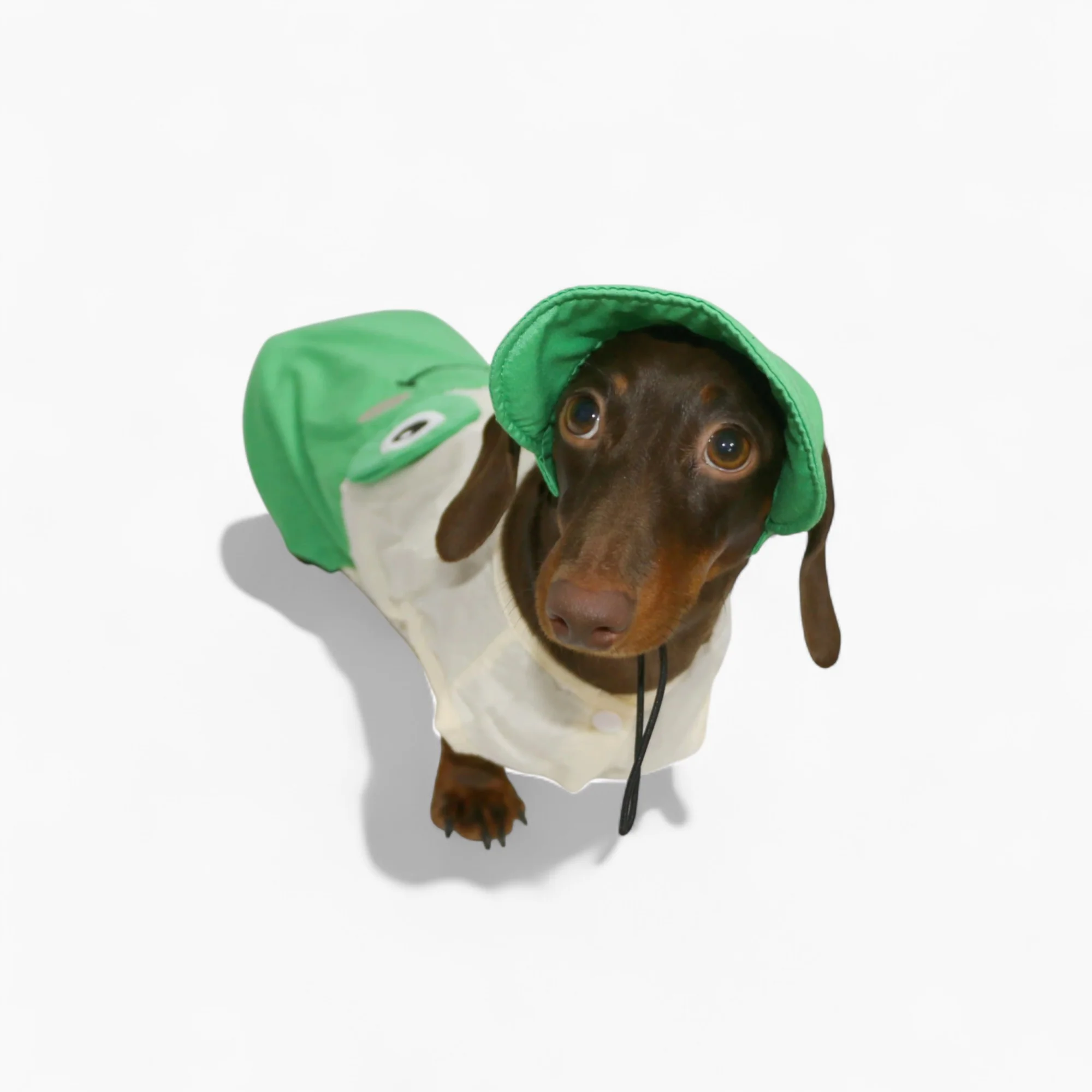 ToadFit Dachshund Summer Suit – Lightweight Breathable Frog Costume with Hat - Image 4