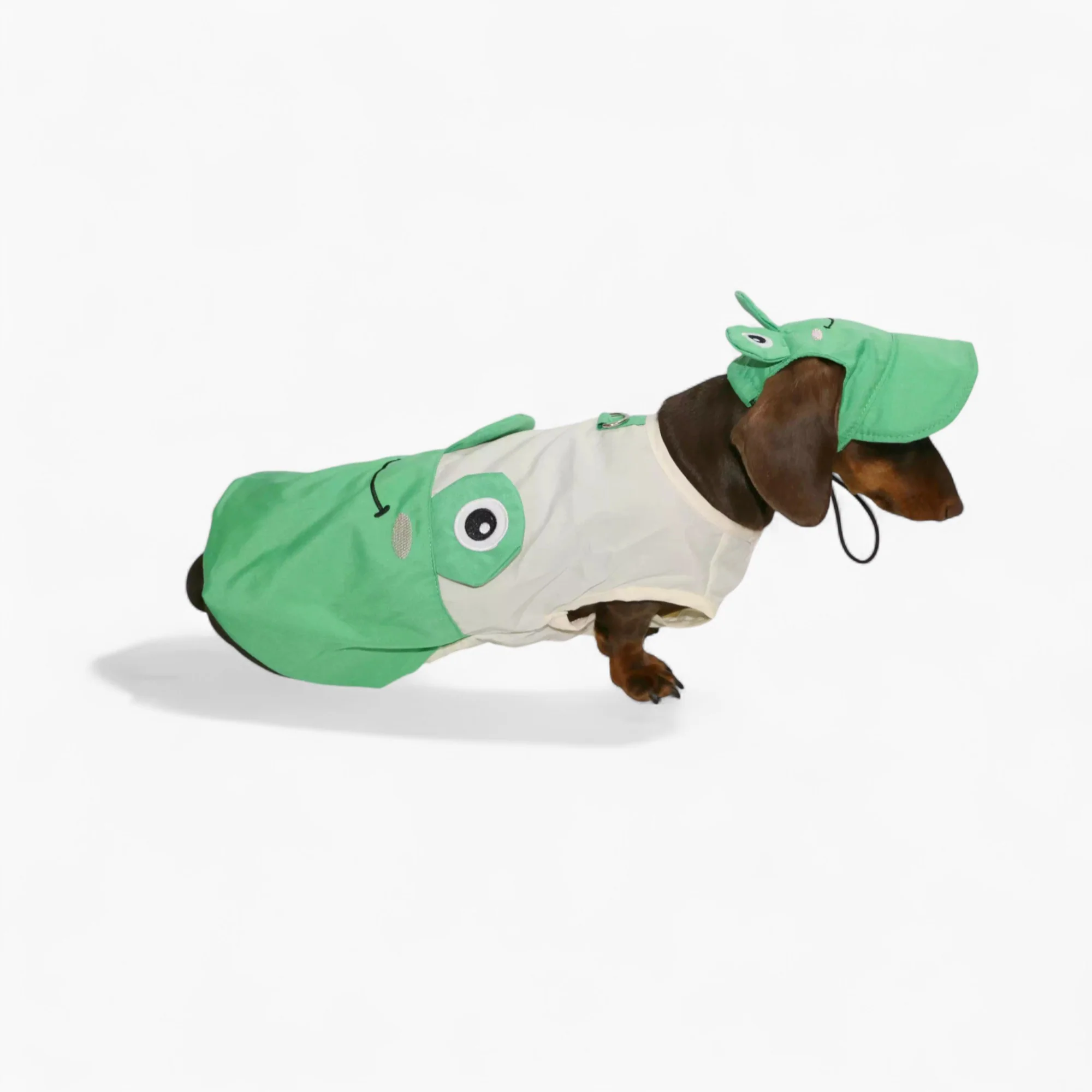 ToadFit Dachshund Summer Suit – Lightweight Breathable Frog Costume with Hat - Image 5