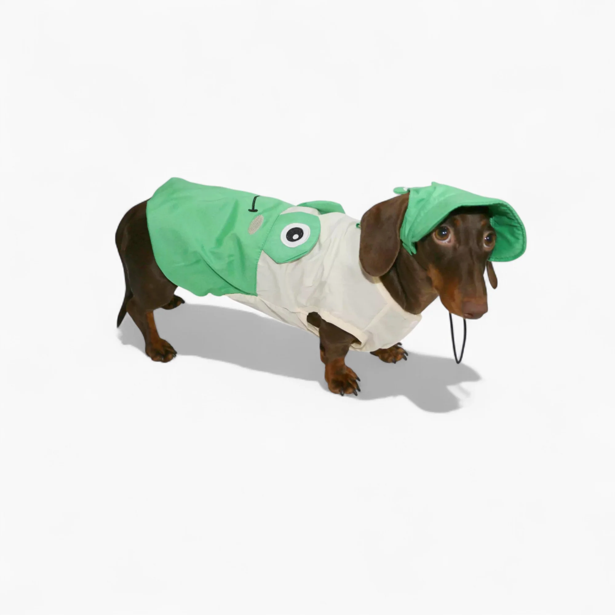 ToadFit Dachshund Summer Suit – Lightweight Breathable Frog Costume with Hat - Image 6