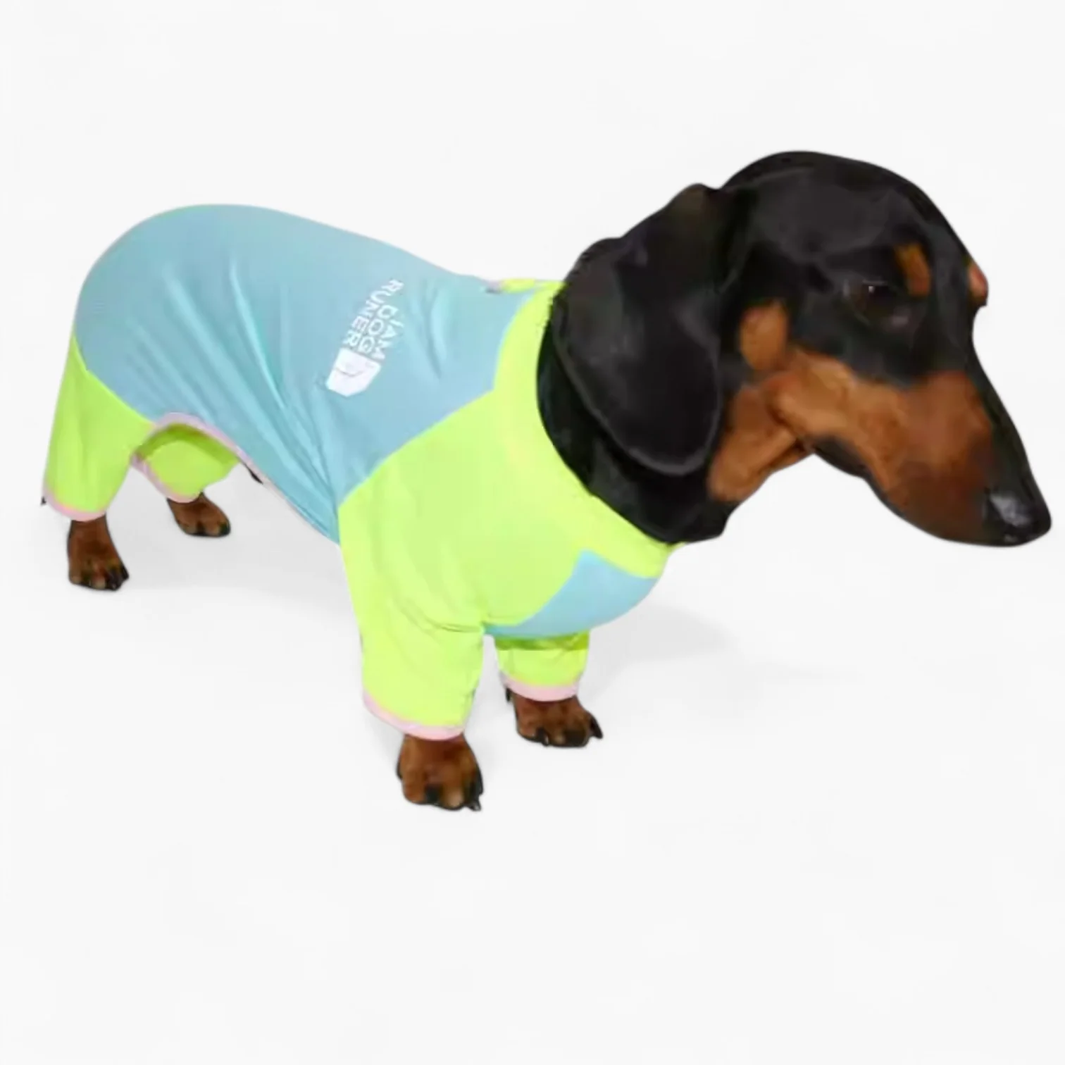 CoolPup Dachshund Summer Suit – Breathable 4-Leg Lightweight Outfit