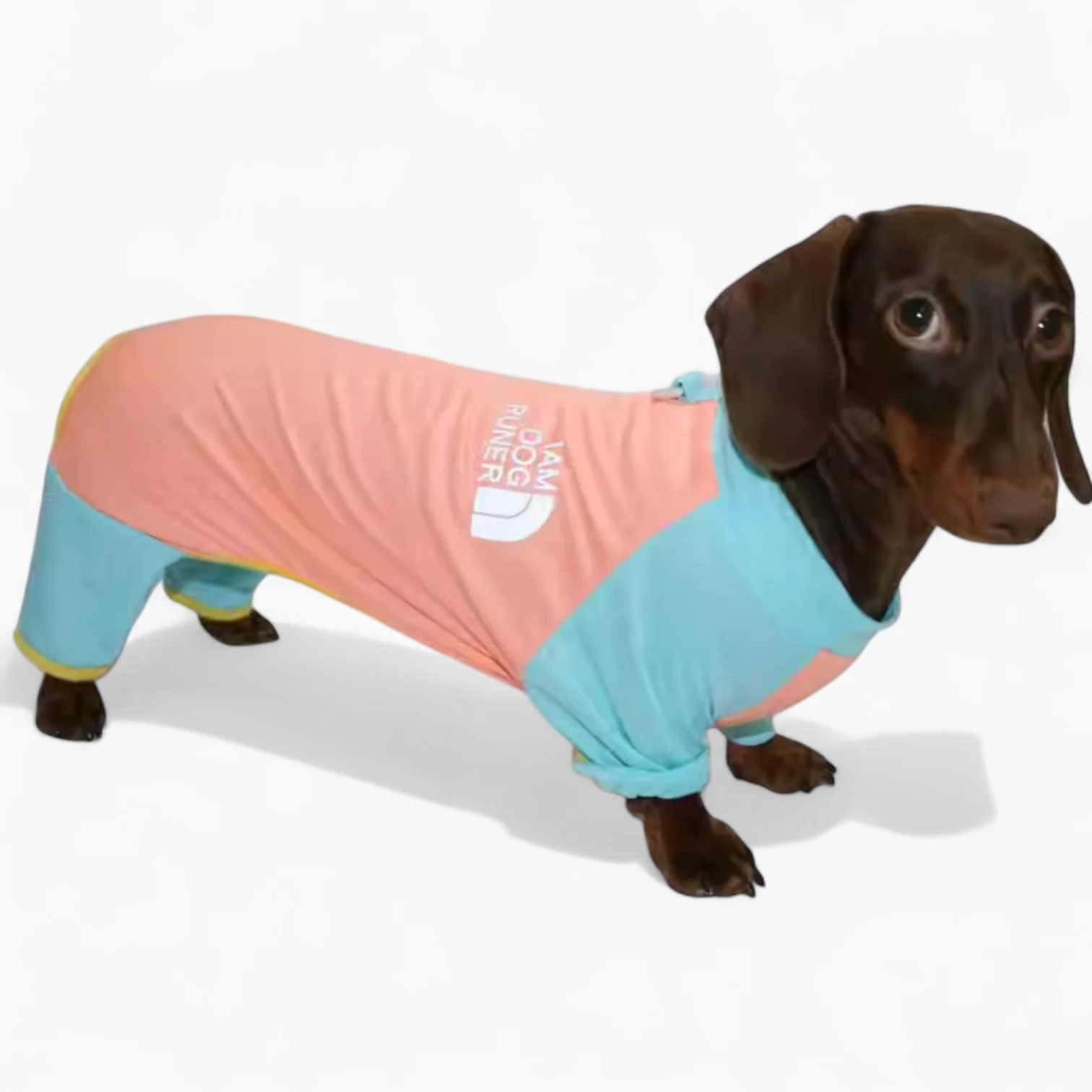 CoolPup Dachshund Summer Suit – Breathable 4-Leg Lightweight Outfit - Image 3