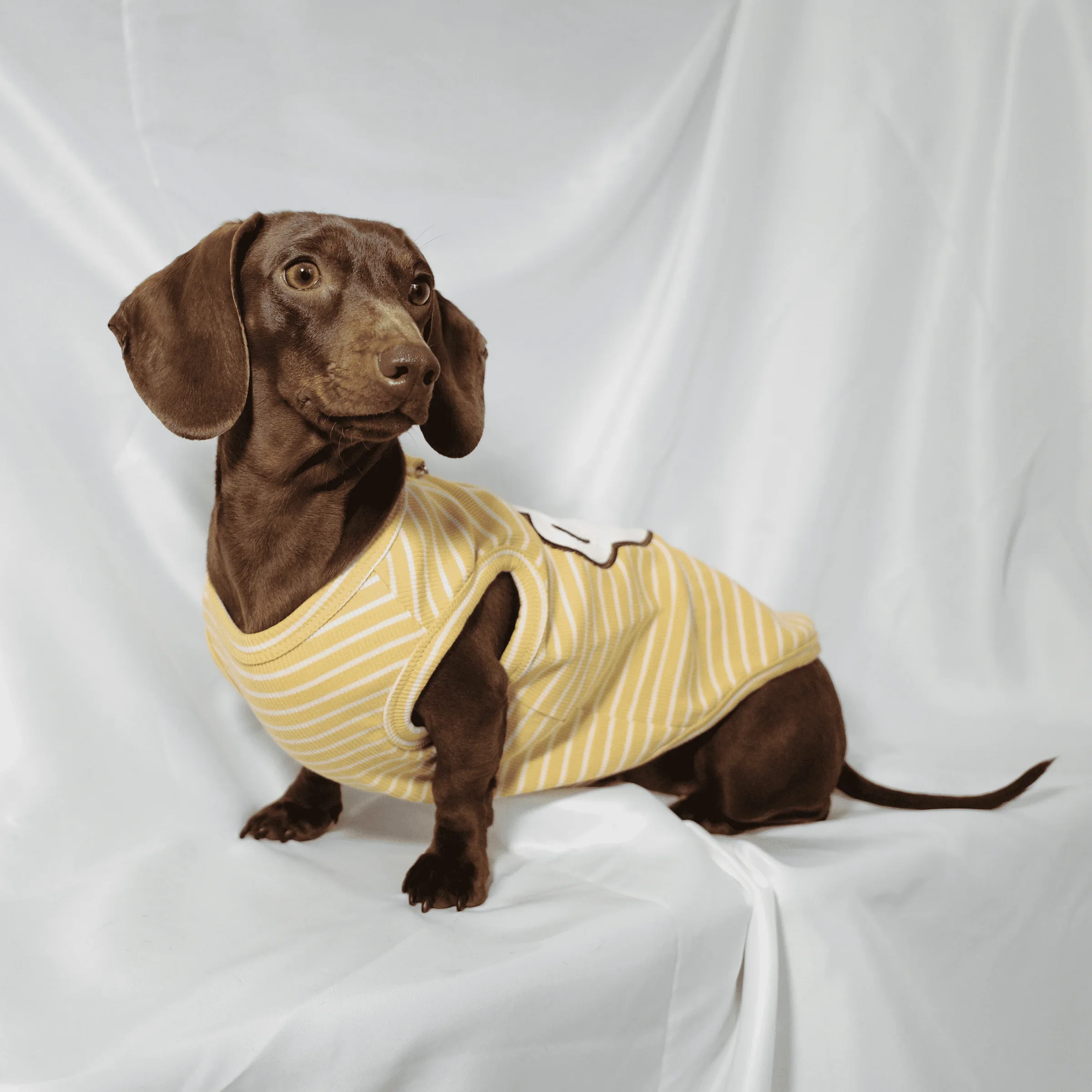 Dachshund Summer T-Shirt – Soft Striped Cotton Striped Vest - Image 2