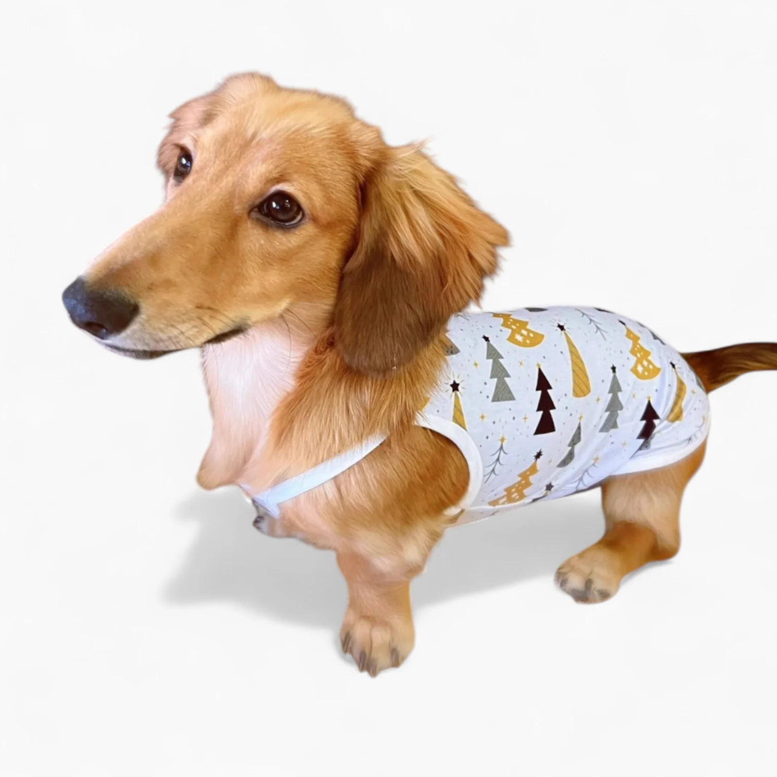DoxiCotton Dachshund Summer Tops – Cotton Soft Dustproof Belly Protection - Image 3