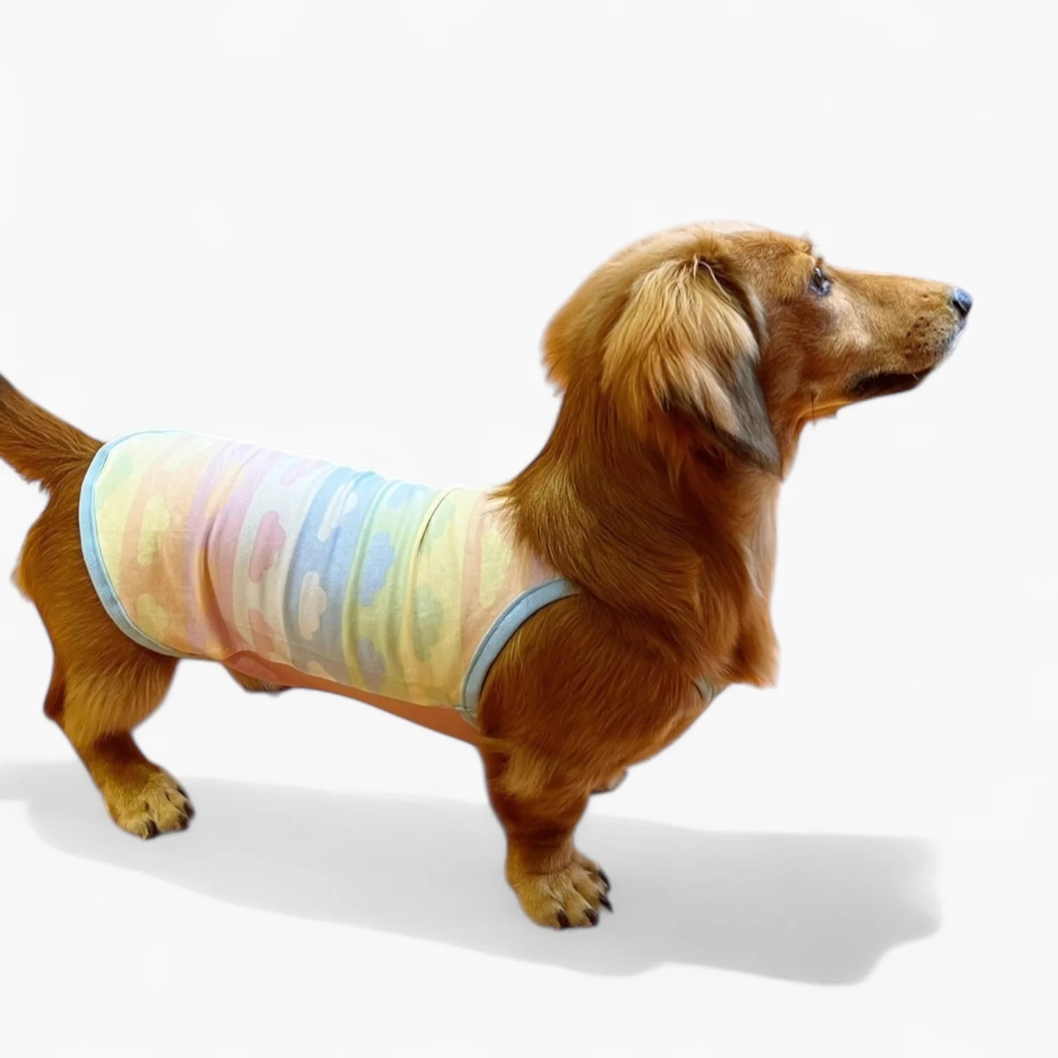 DoxiCotton Dachshund Summer Tops – Cotton Soft Dustproof Belly Protection - Image 4