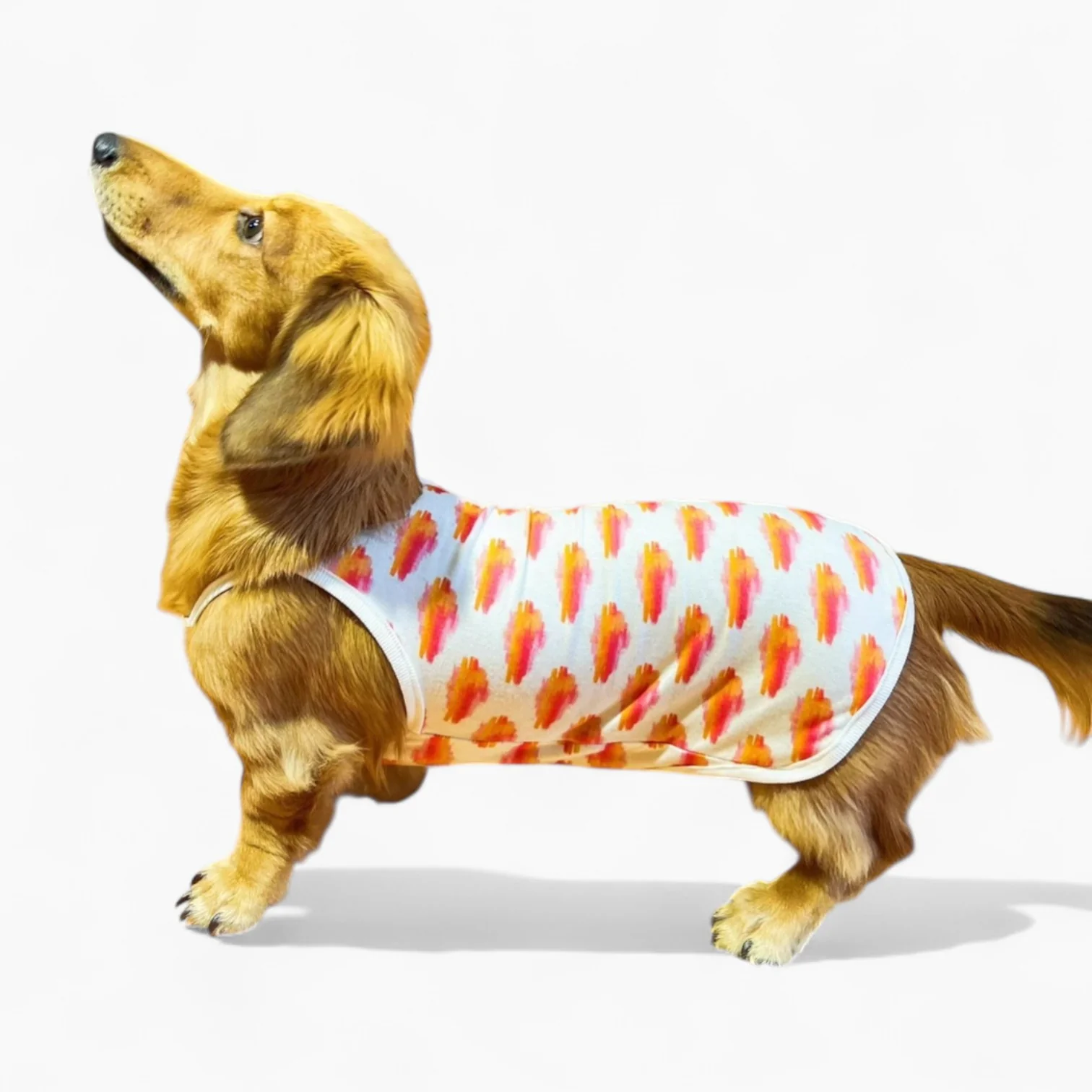 DoxiCotton Dachshund Summer Tops – Cotton Soft Dustproof Belly Protection - Image 6