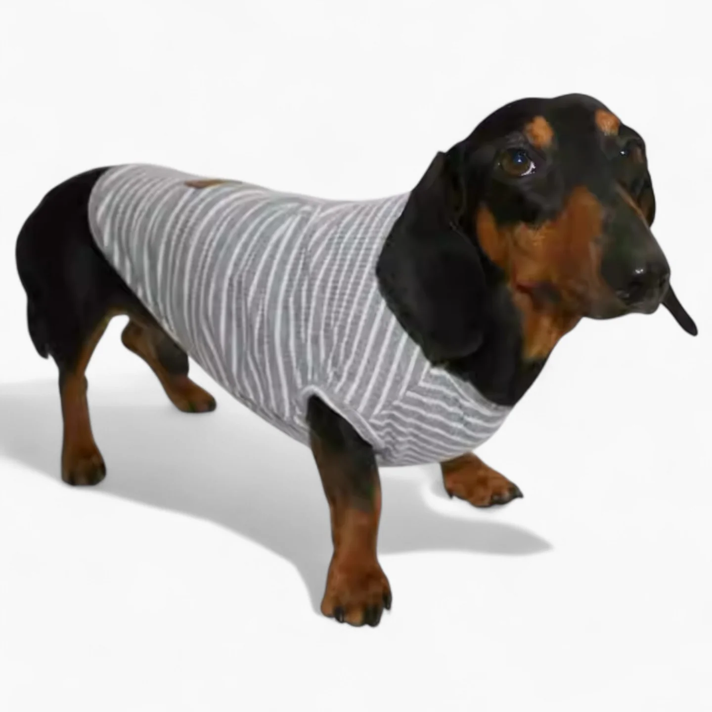 StripeiCool Dachshund Summer Vest – Lightweight Breathable Striped Shirt - Image 3