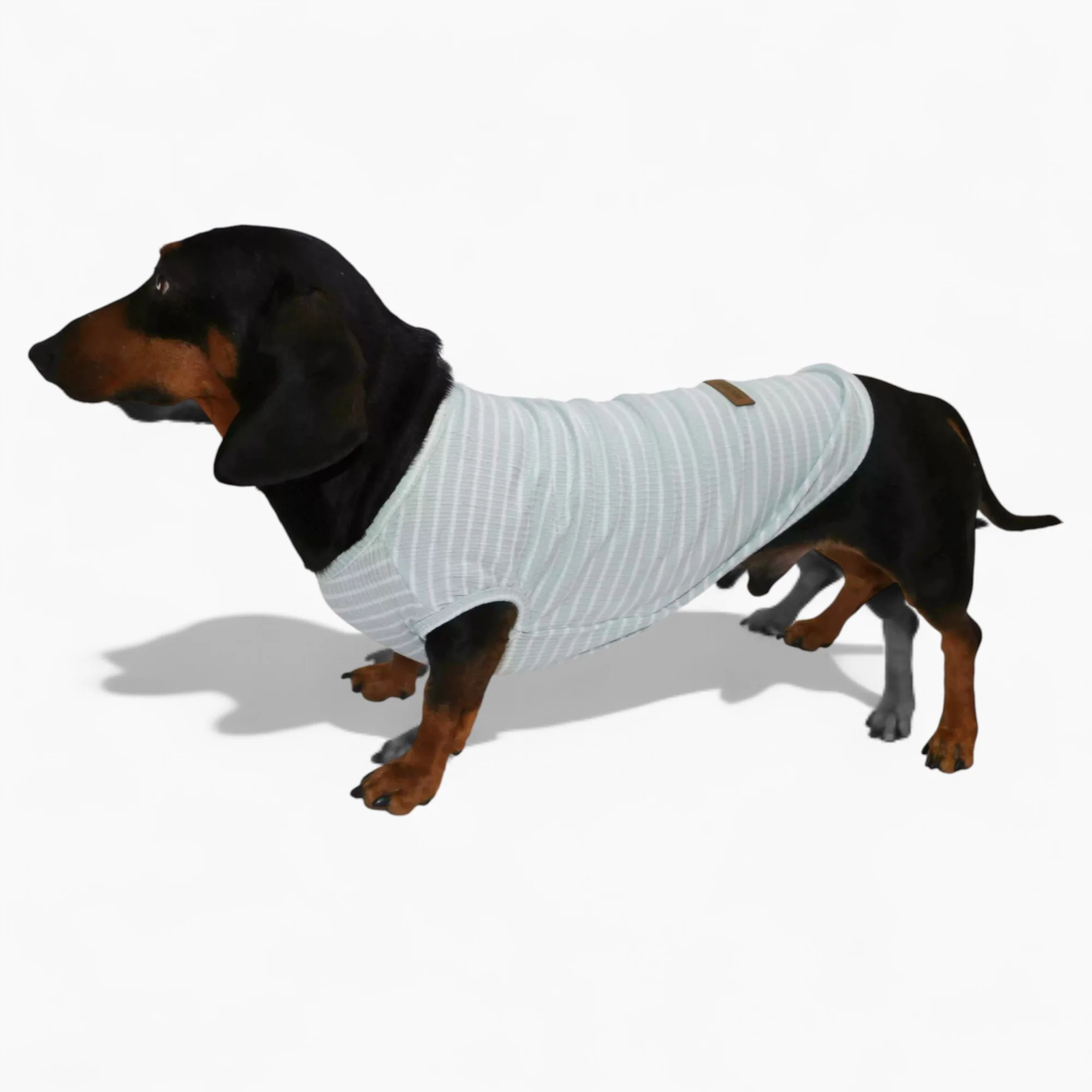 StripeiCool Dachshund Summer Vest – Lightweight Breathable Striped Shirt - Image 5