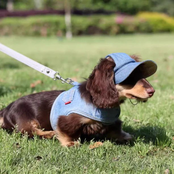 DoxiDenim Cowboy Sun Hat – UV-Protective Western Cap for Dachshunds - Image 2