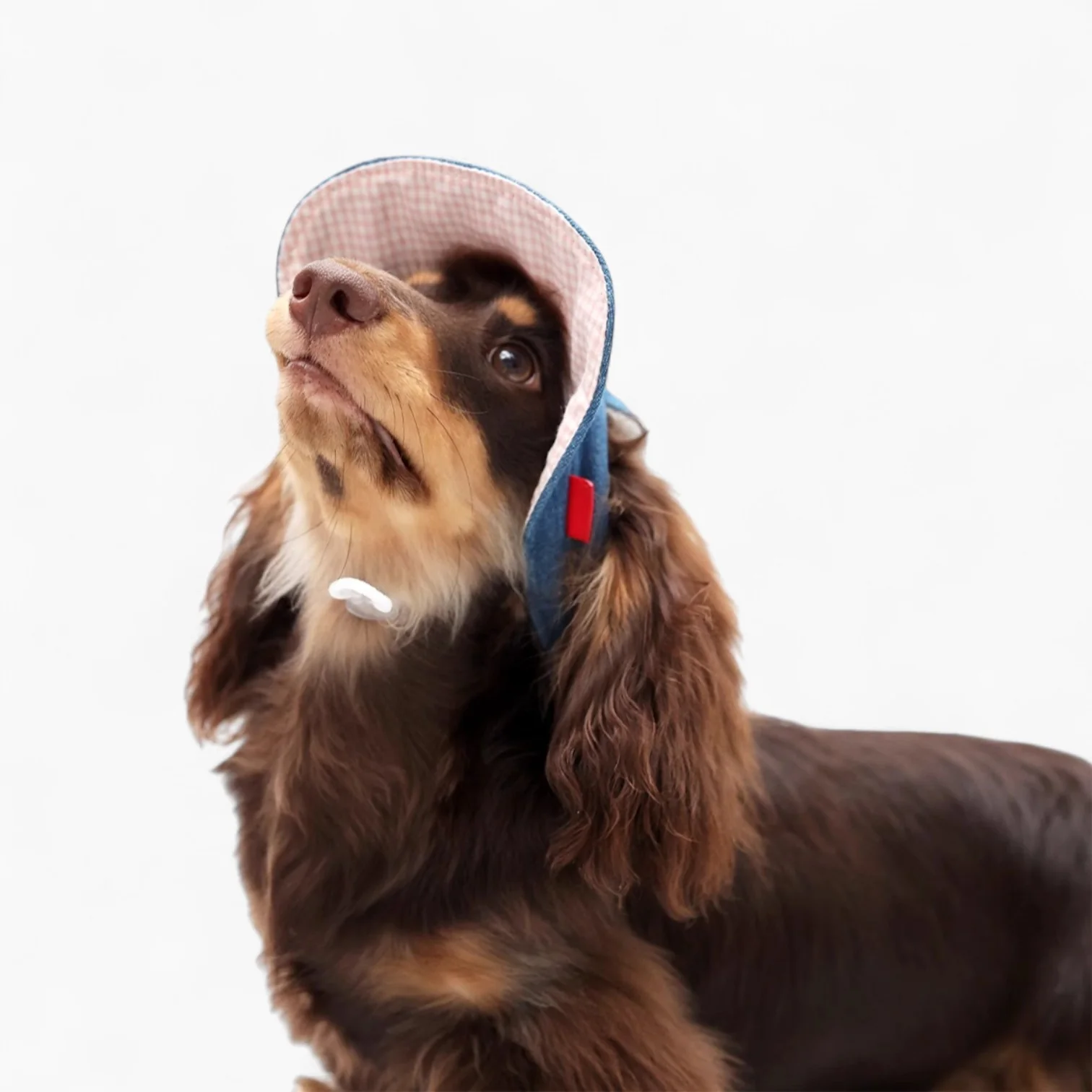 DoxiDenim Cowboy Sun Hat – UV-Protective Western Cap for Dachshunds - Image 3
