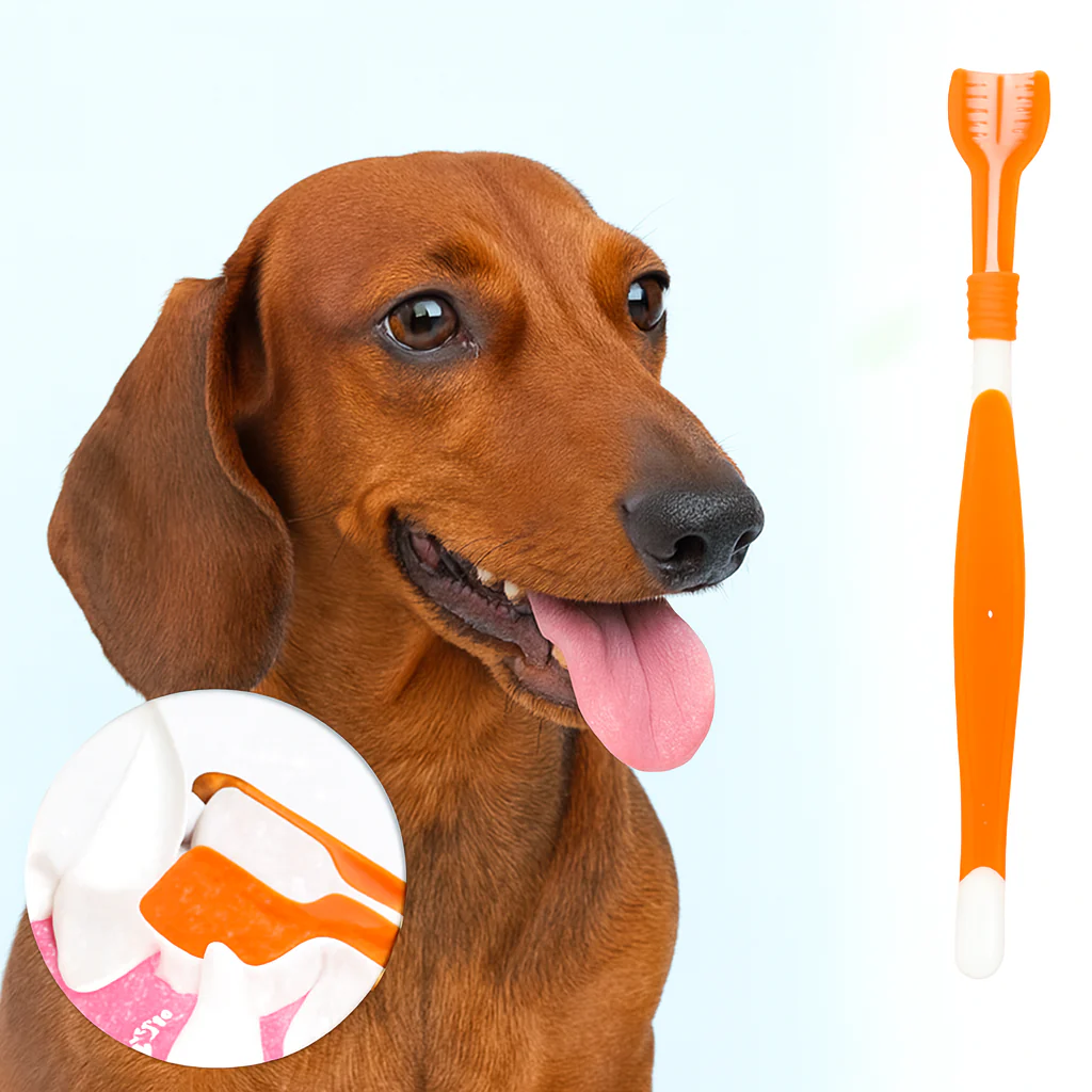 TriClean Dachshund Toothbrush – Three-Sided Dental Care Brush for Dogs