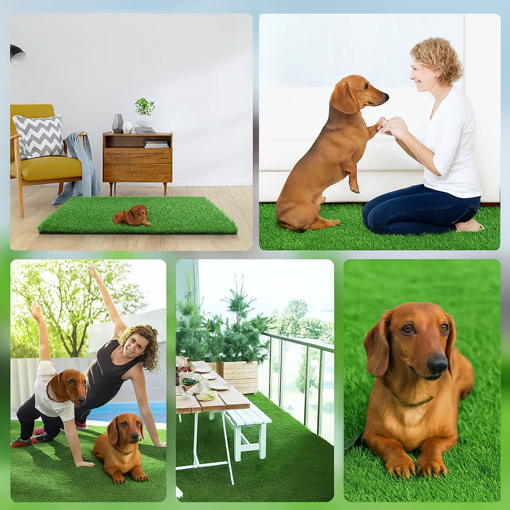 DoxLoo Dachshund Potty Training Mat – Leak-Proof Grass Pad with Odor Control - Image 7