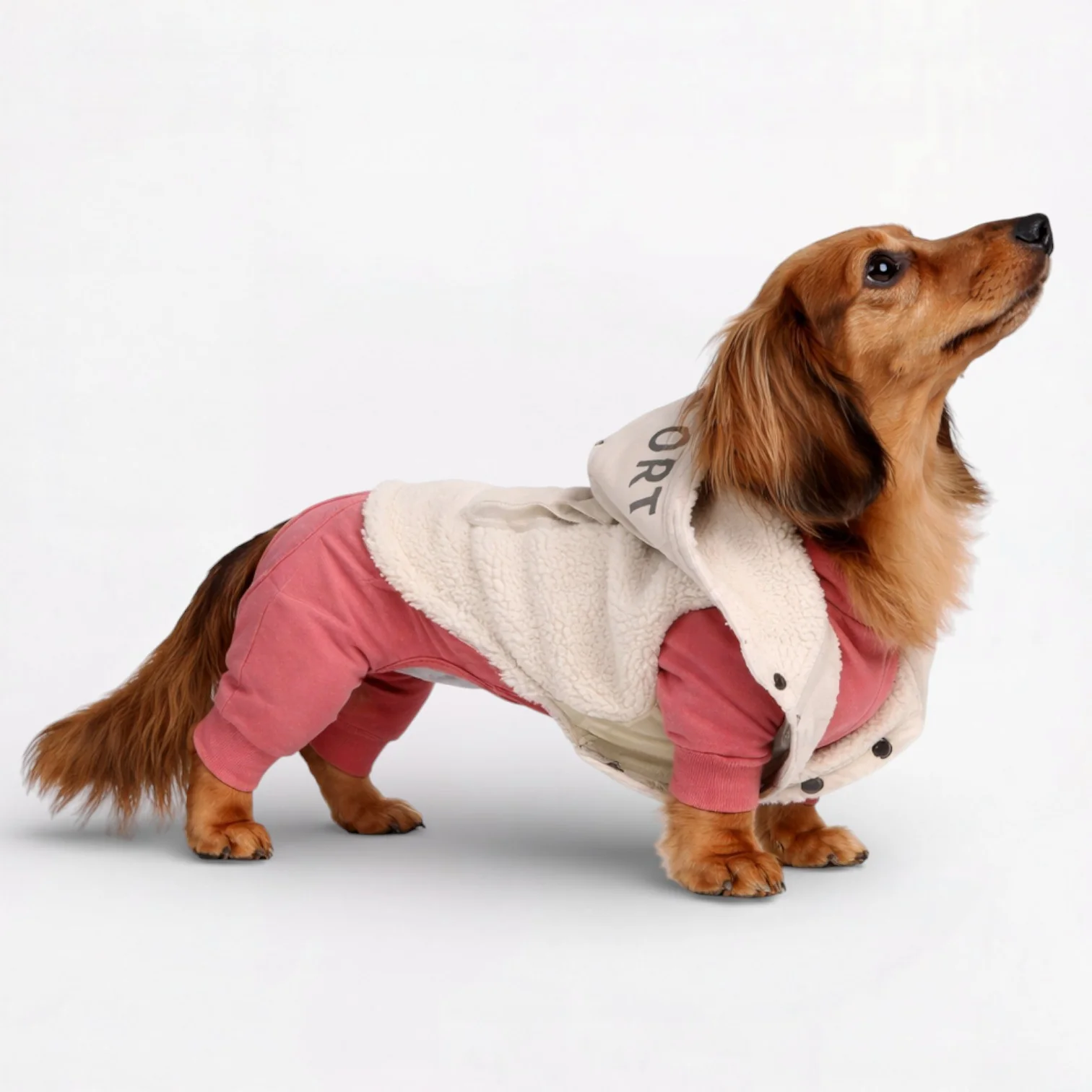 Snugsy Dachshund Warm Vest – Thick Cotton Winter Jacket with Hood