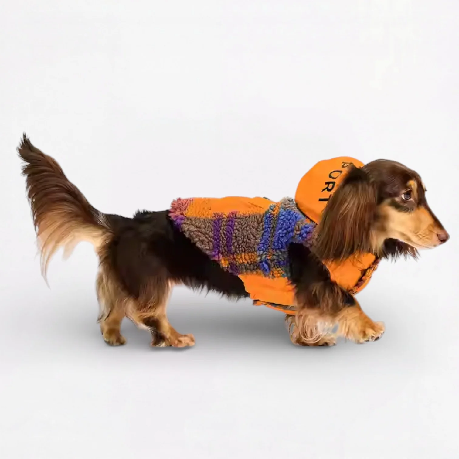 Snugsy Dachshund Warm Vest – Thick Cotton Winter Jacket with Hood - Image 3