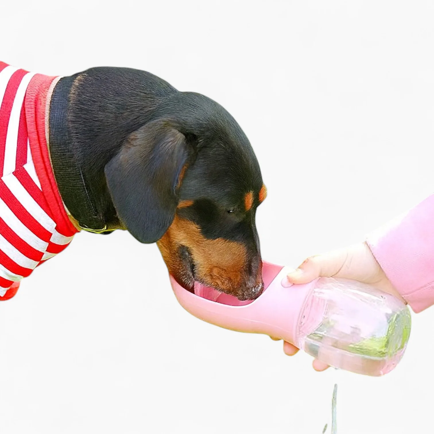 PawHydro Dachshund Water Bottle – Portable Leak-Proof Travel Hydration