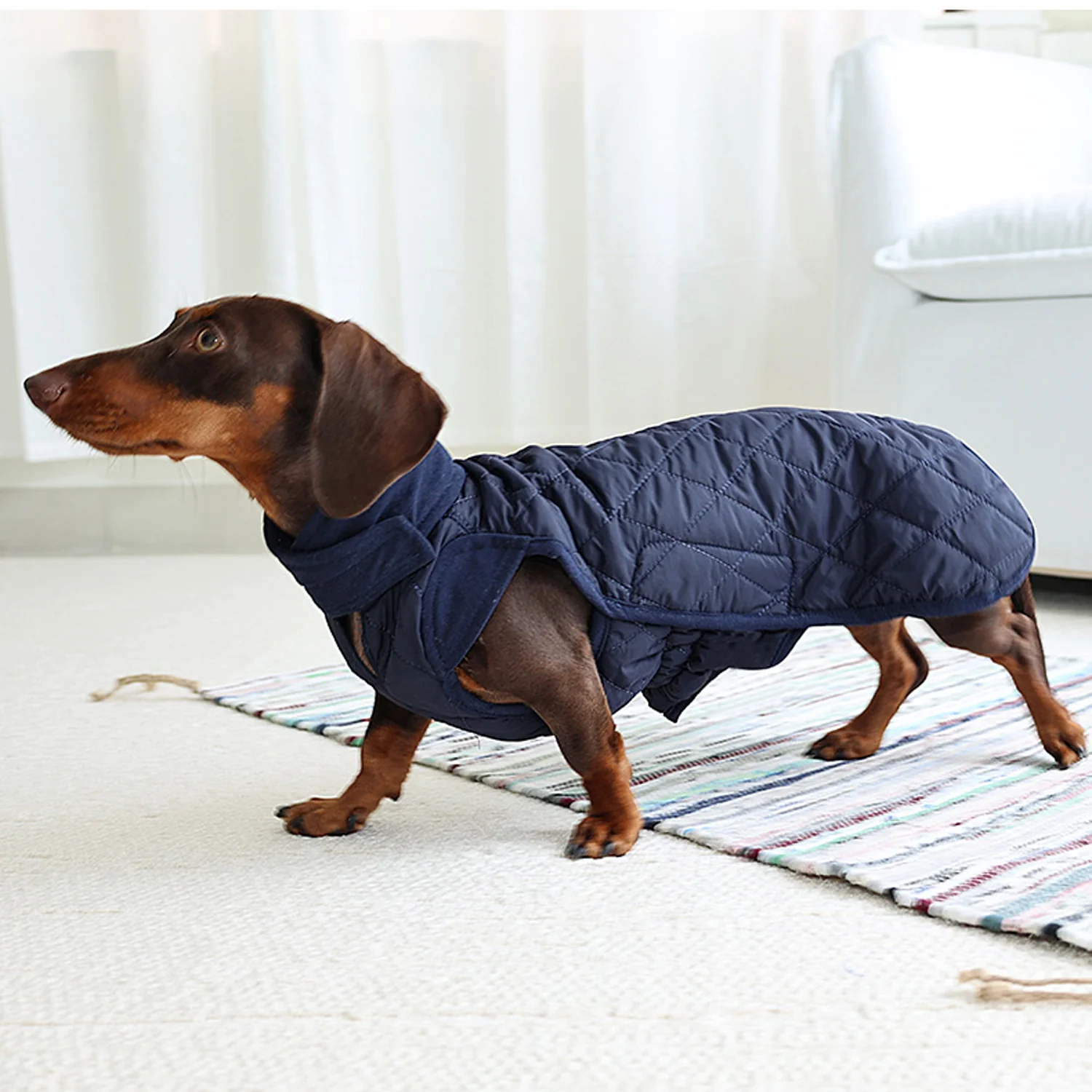 Dachshund Quilted Winter Coat – Water-Resistant Long-Body Jacket with Leash Hole - Image 6