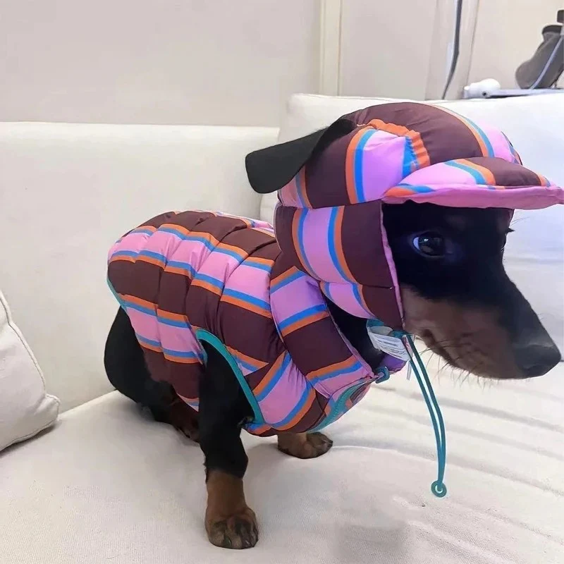 Dachshund Winter Jacket – Warm Cotton Rainbow Stripe Jacket - Image 2