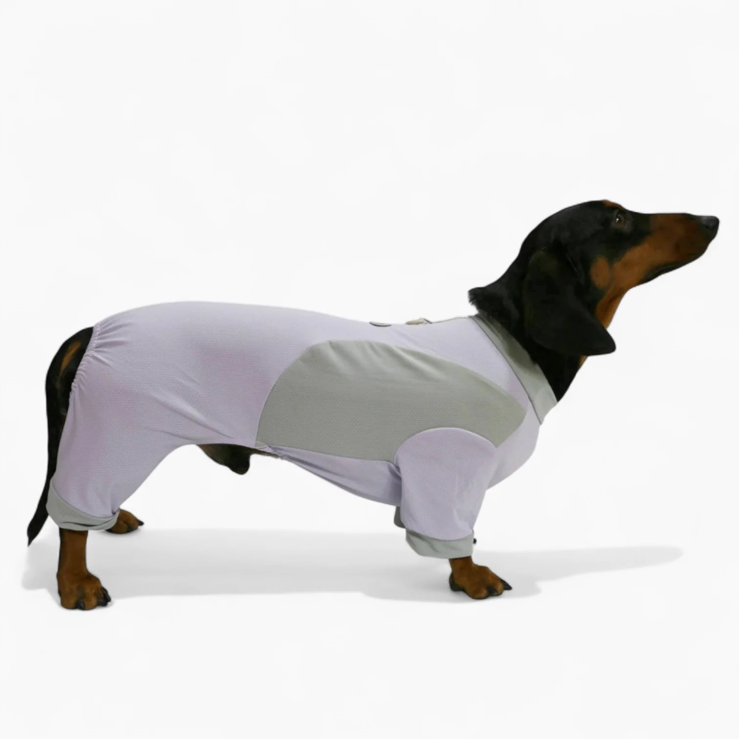 DachShine Dachshund Winter Jacket – Double Edition Breathable Ice Silk Clothes