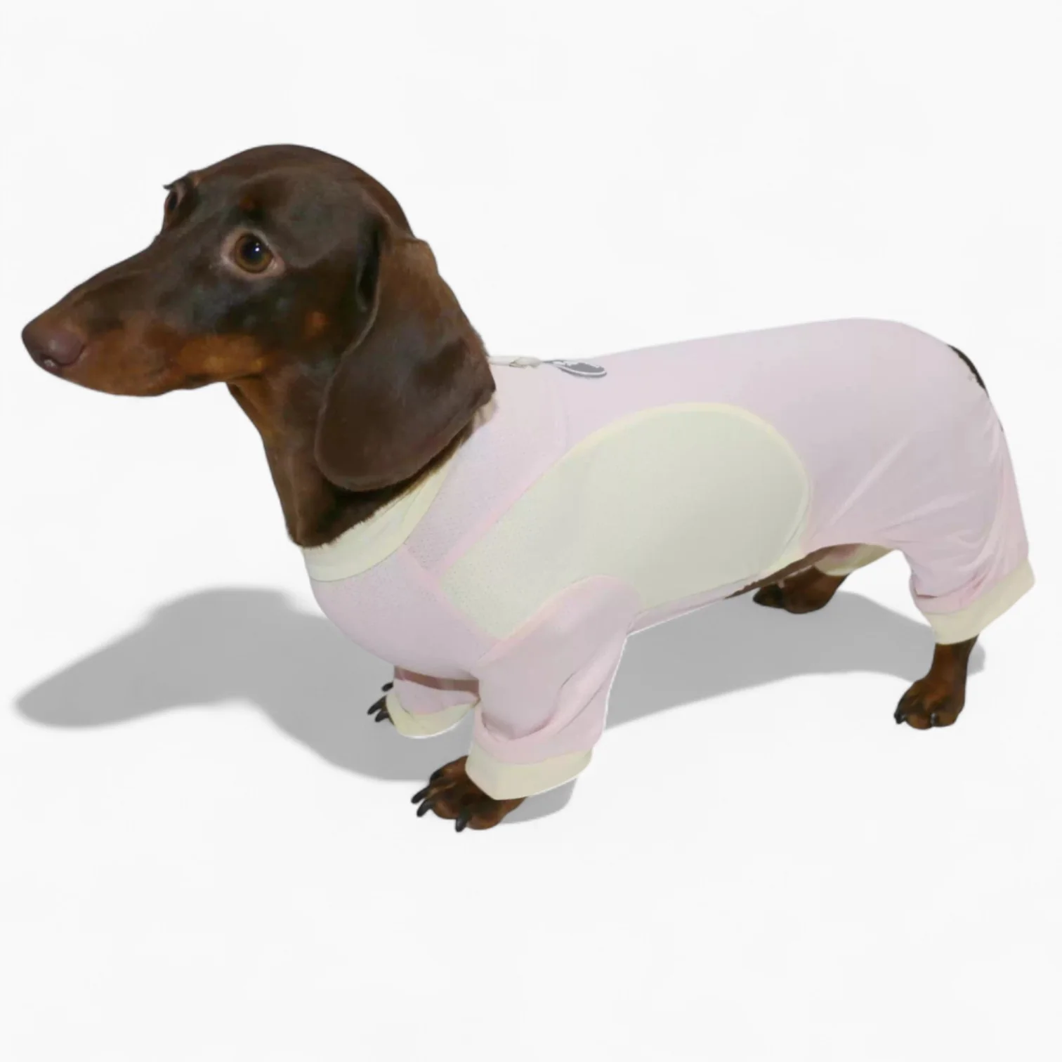 DachShine Dachshund Winter Jacket – Double Edition Breathable Ice Silk Clothes - Image 9