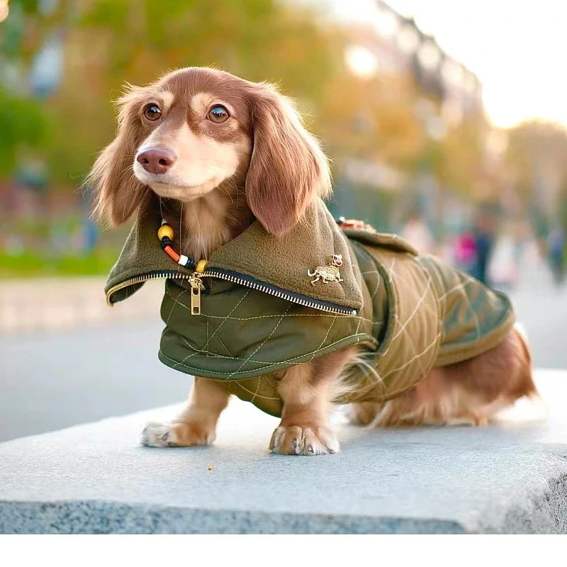 DachLux Dachshund Winter Jacket – Army Green Windproof Dog Coat - Image 2