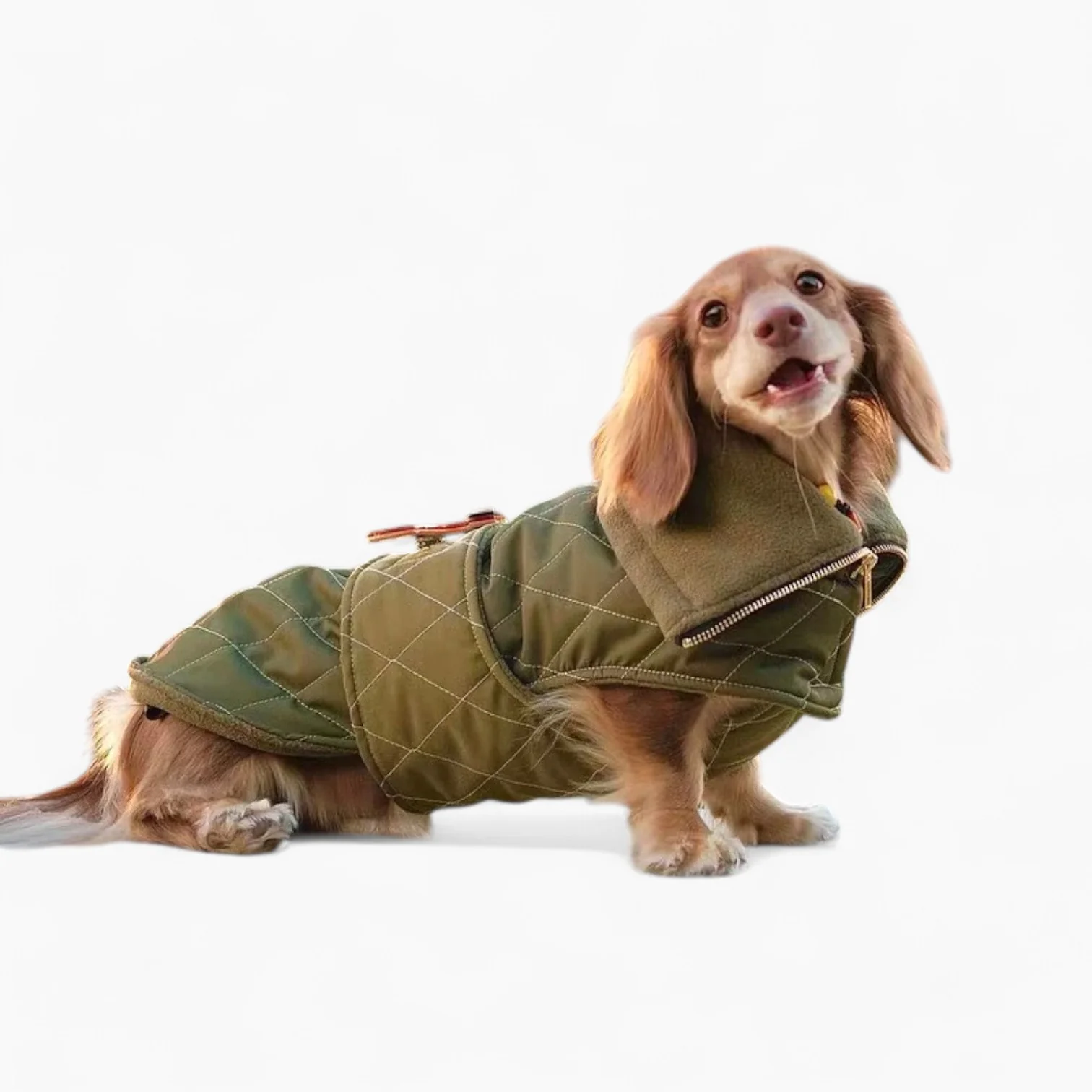 DachLux Dachshund Winter Jacket – Army Green Windproof Dog Coat - Image 5