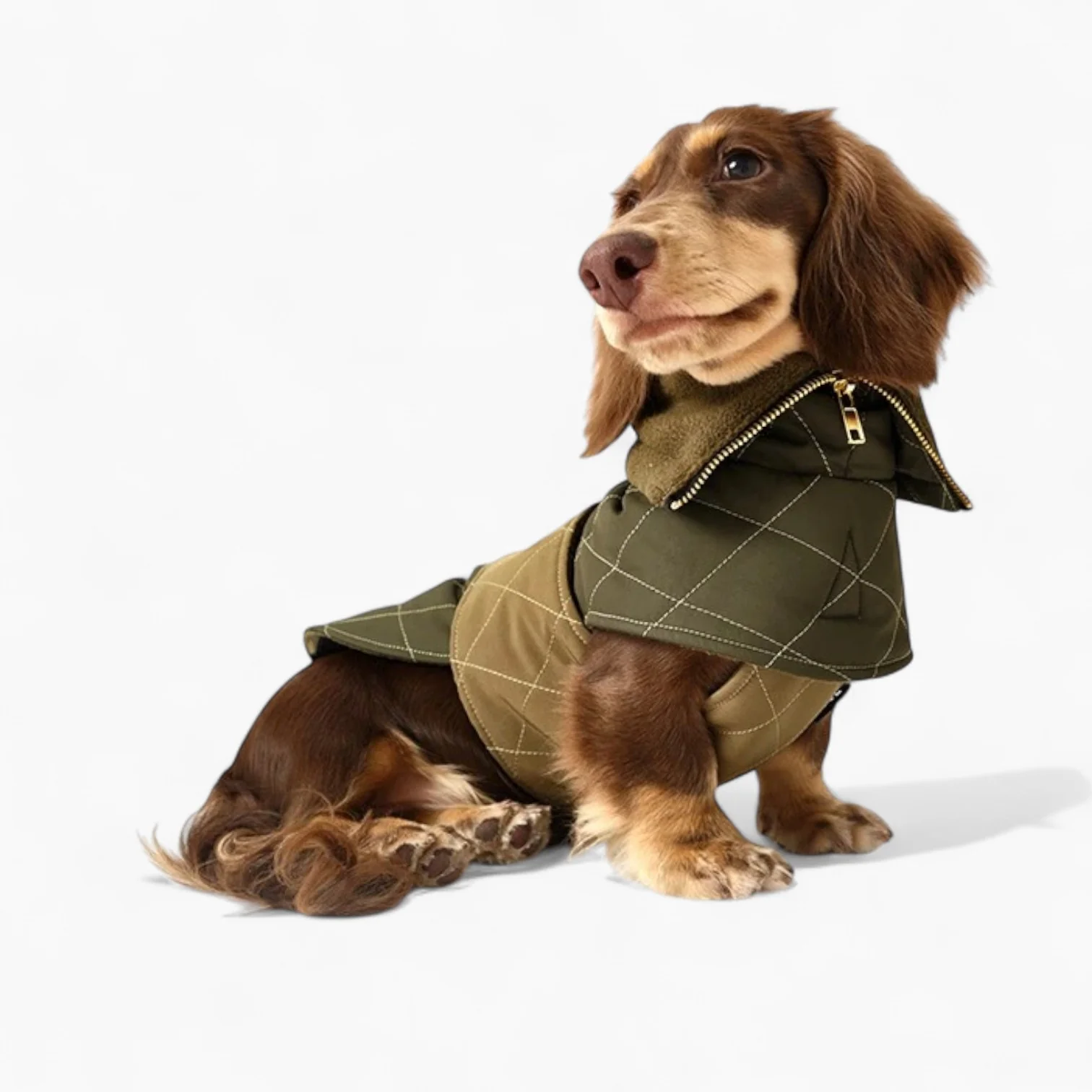 DachLux Dachshund Winter Jacket – Army Green Windproof Dog Coat - Image 6