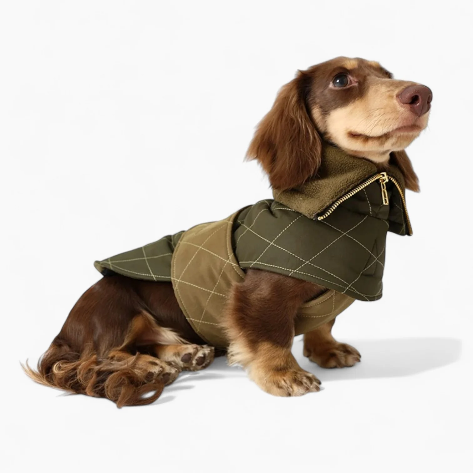 DachLux Dachshund Winter Jacket – Army Green Windproof Dog Coat - Image 7