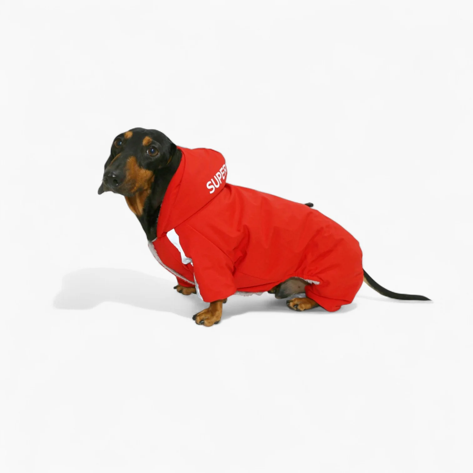 FrostPaw Dachshund Winter Snowsuit – Waterproof Full-Body Dog Coat with Hood - Image 2