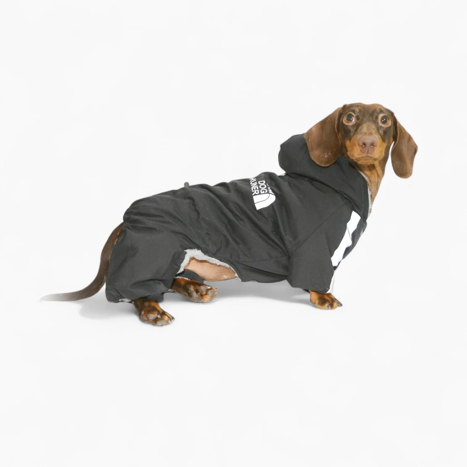 FrostPaw Dachshund Winter Snowsuit – Waterproof Full-Body Dog Coat with Hood - Image 4
