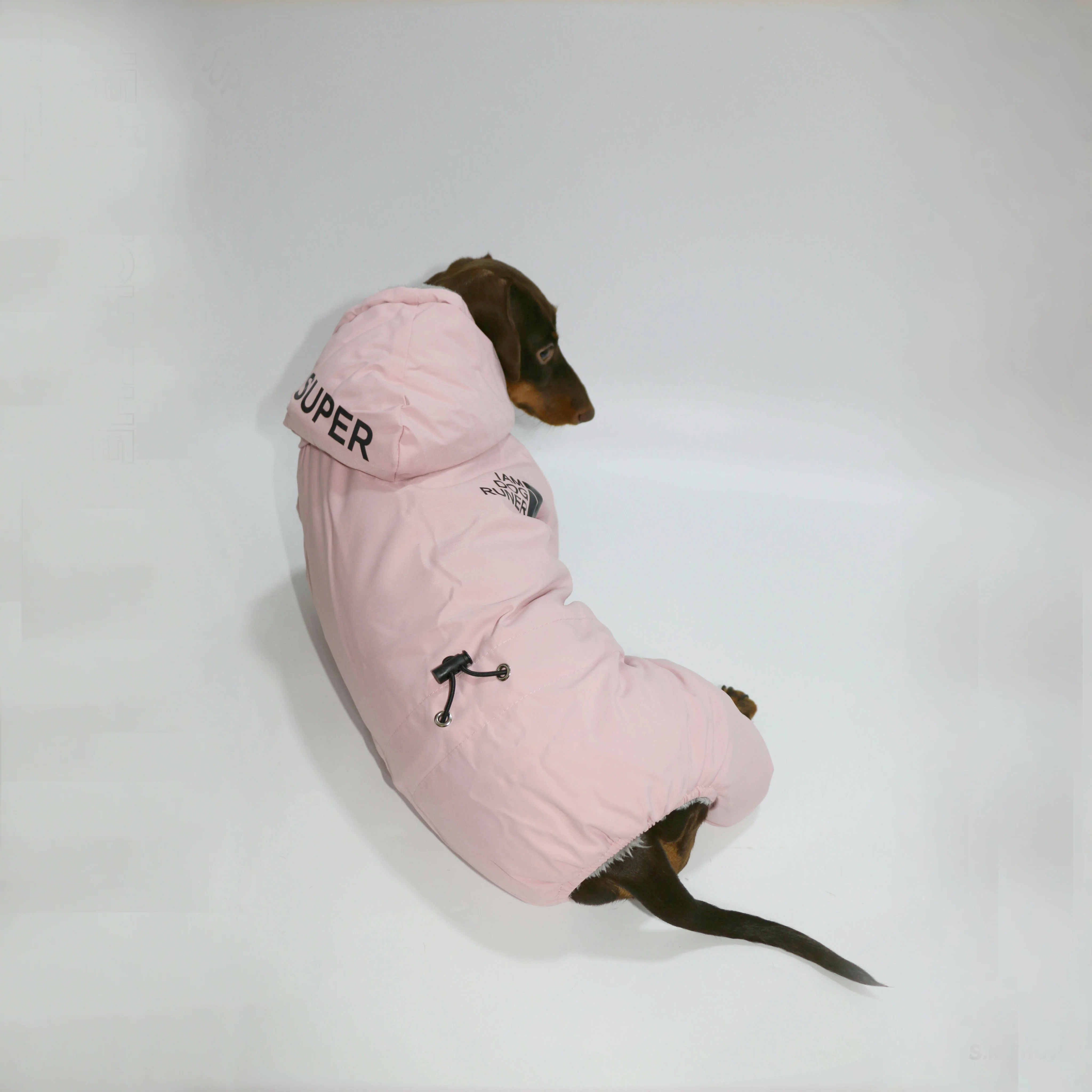FrostPaw Dachshund Winter Snowsuit – Waterproof Full-Body Dog Coat with Hood - Image 5