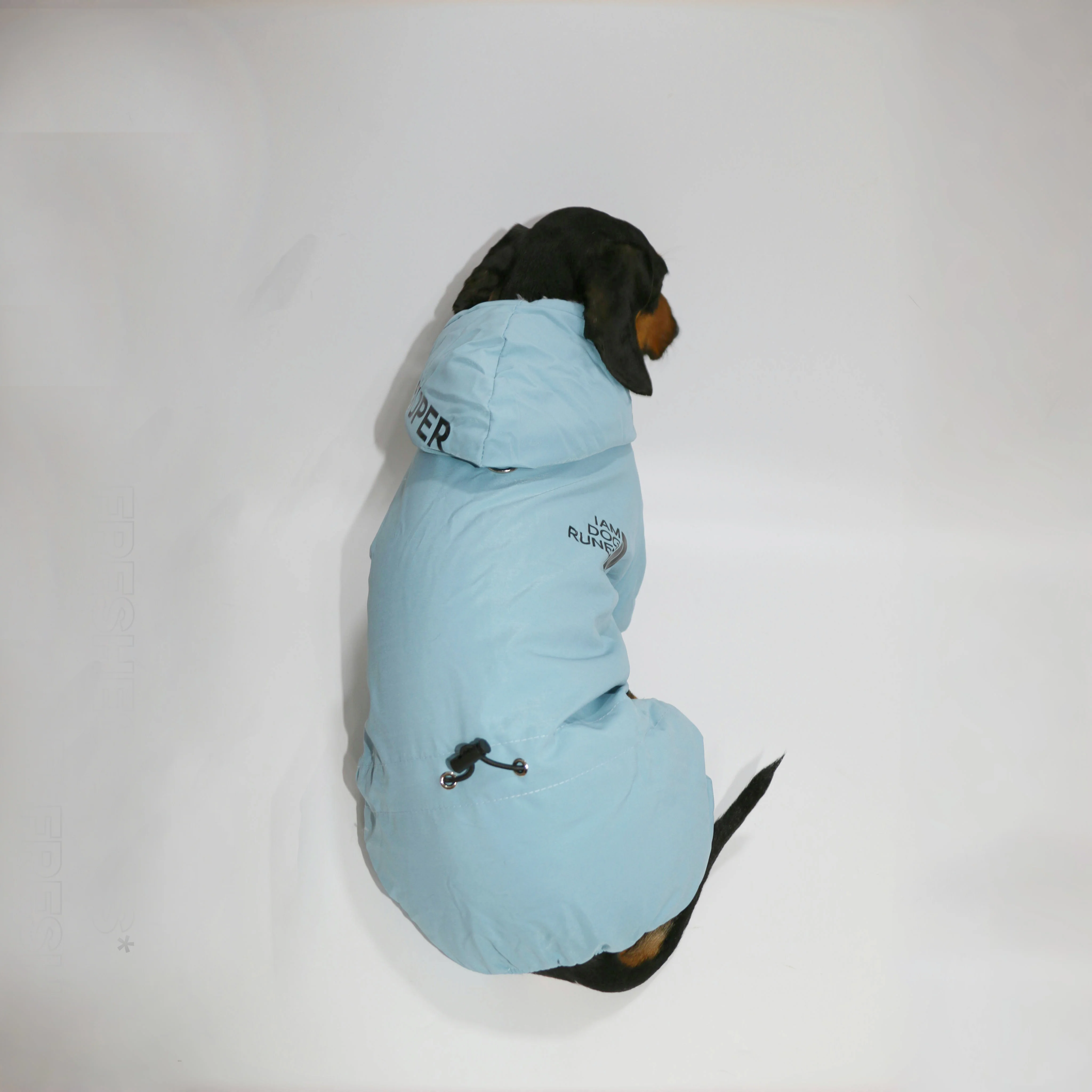 FrostPaw Dachshund Winter Snowsuit – Waterproof Full-Body Dog Coat with Hood - Image 7