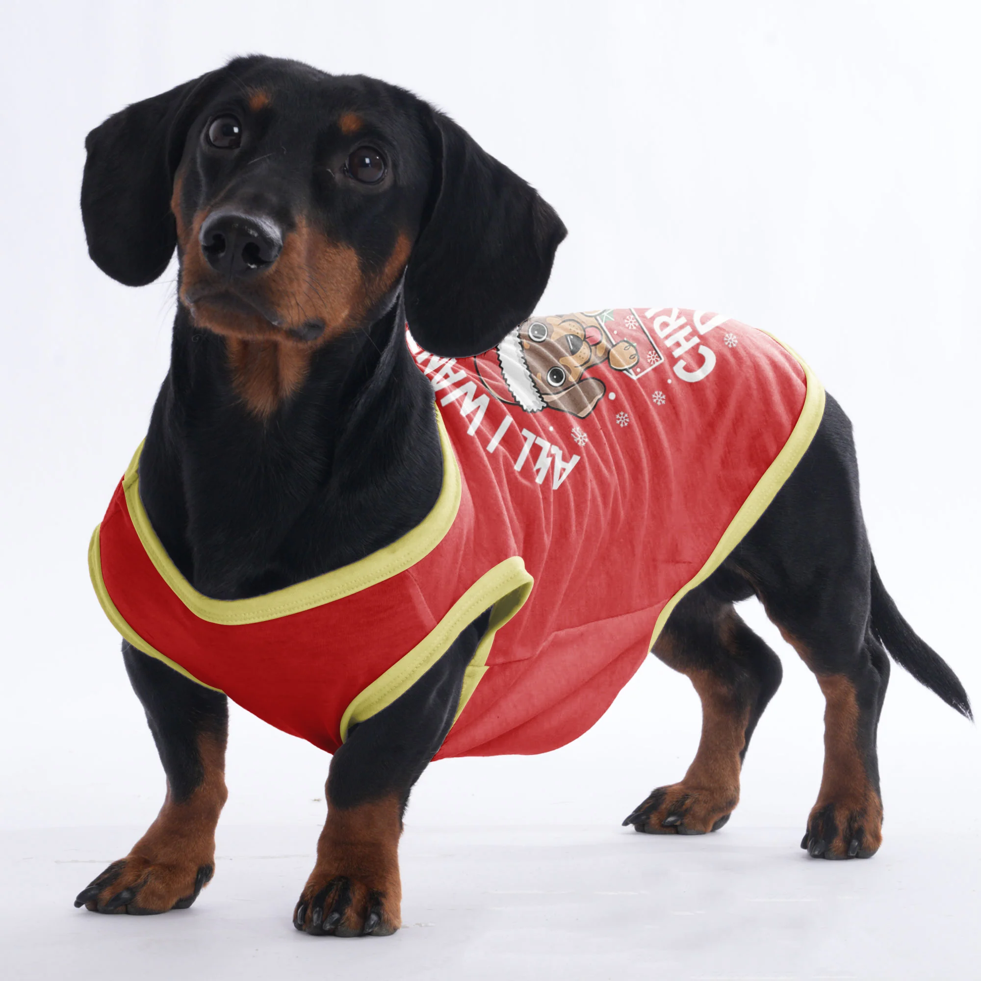 Daisy - Shirt for Dachshunds - Image 3