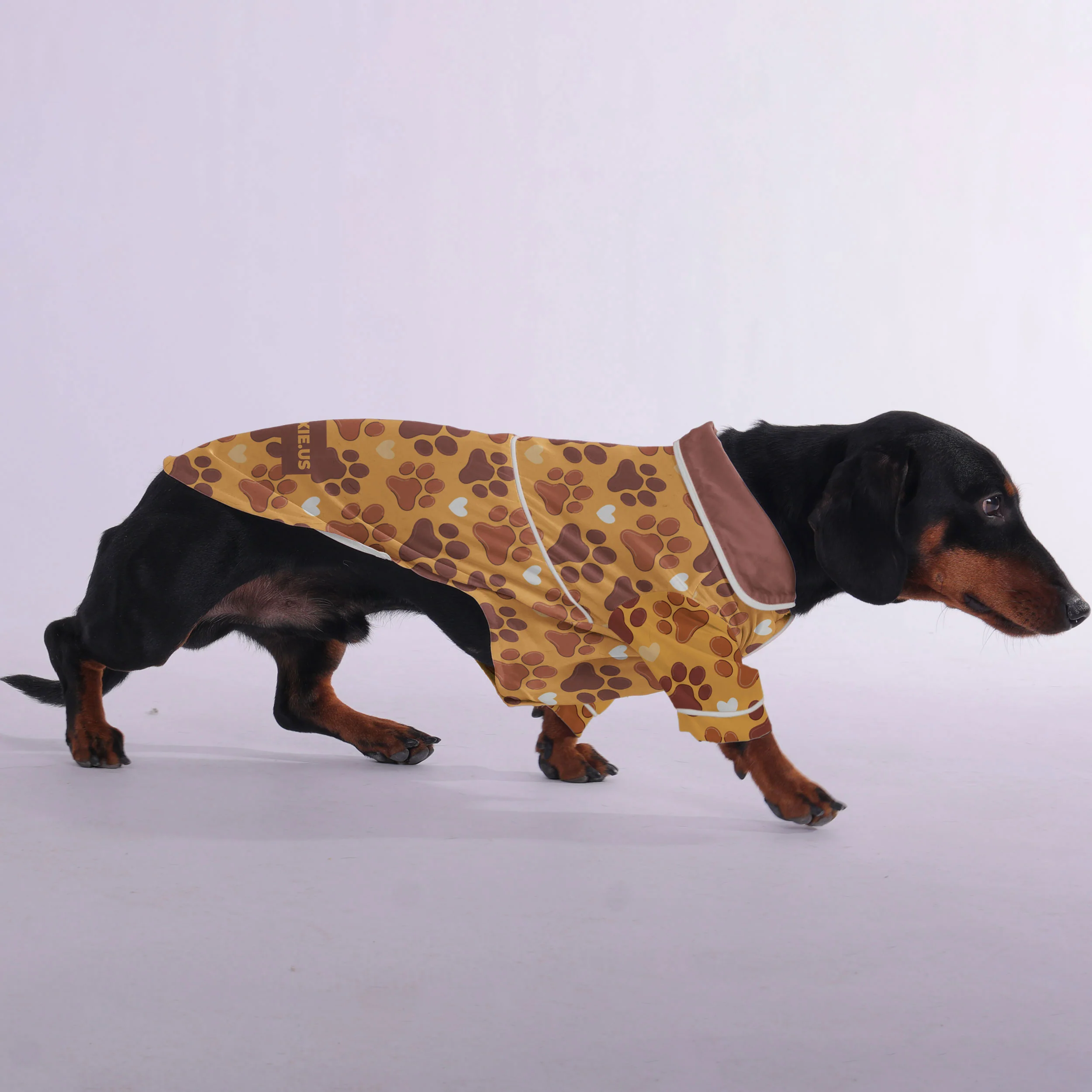 Dexter - Pajamas for Dachshund - Image 3