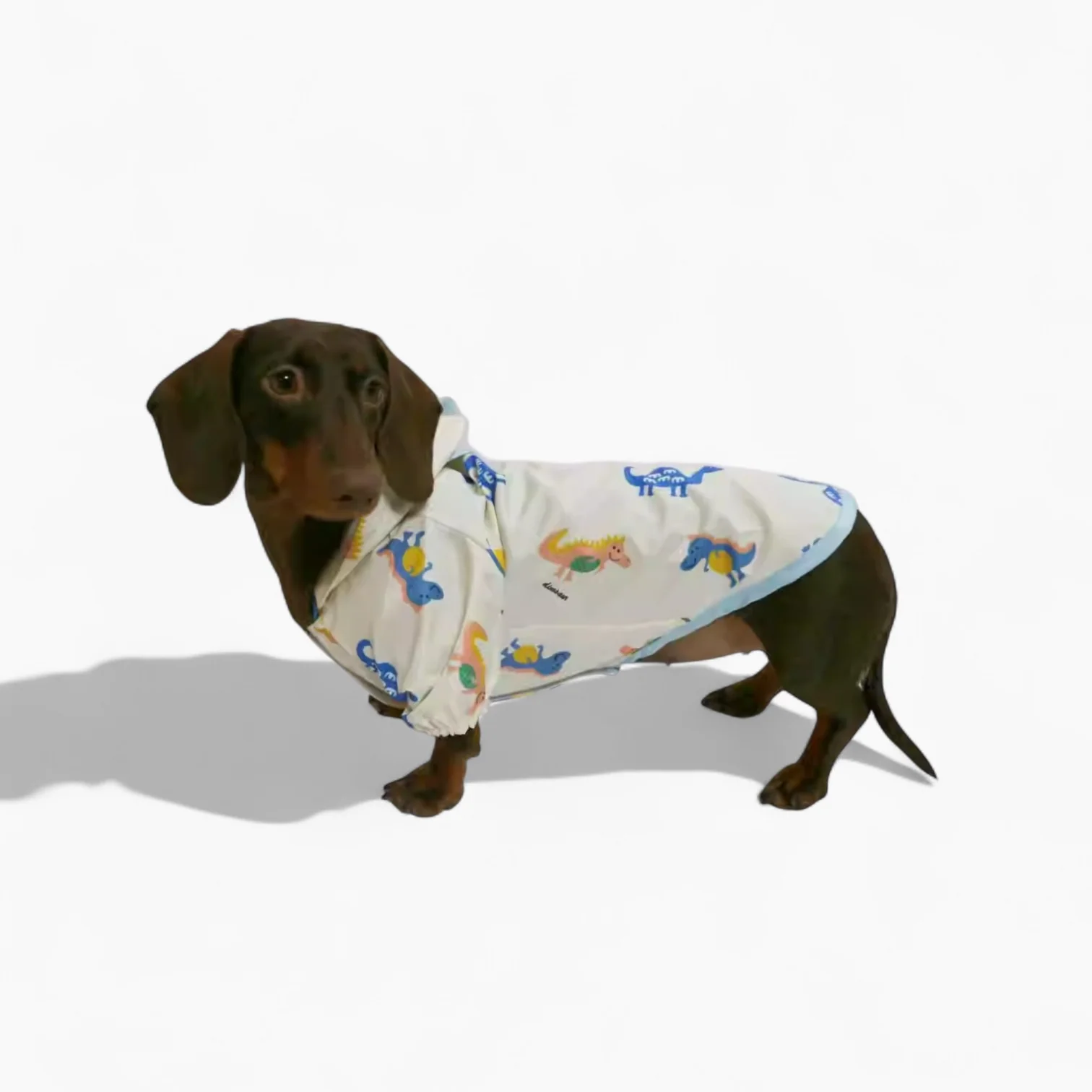 DinoShield Dachshund Raincoat – Fun Splash-proof Dinosaur-Print Dog Jacket - Image 2