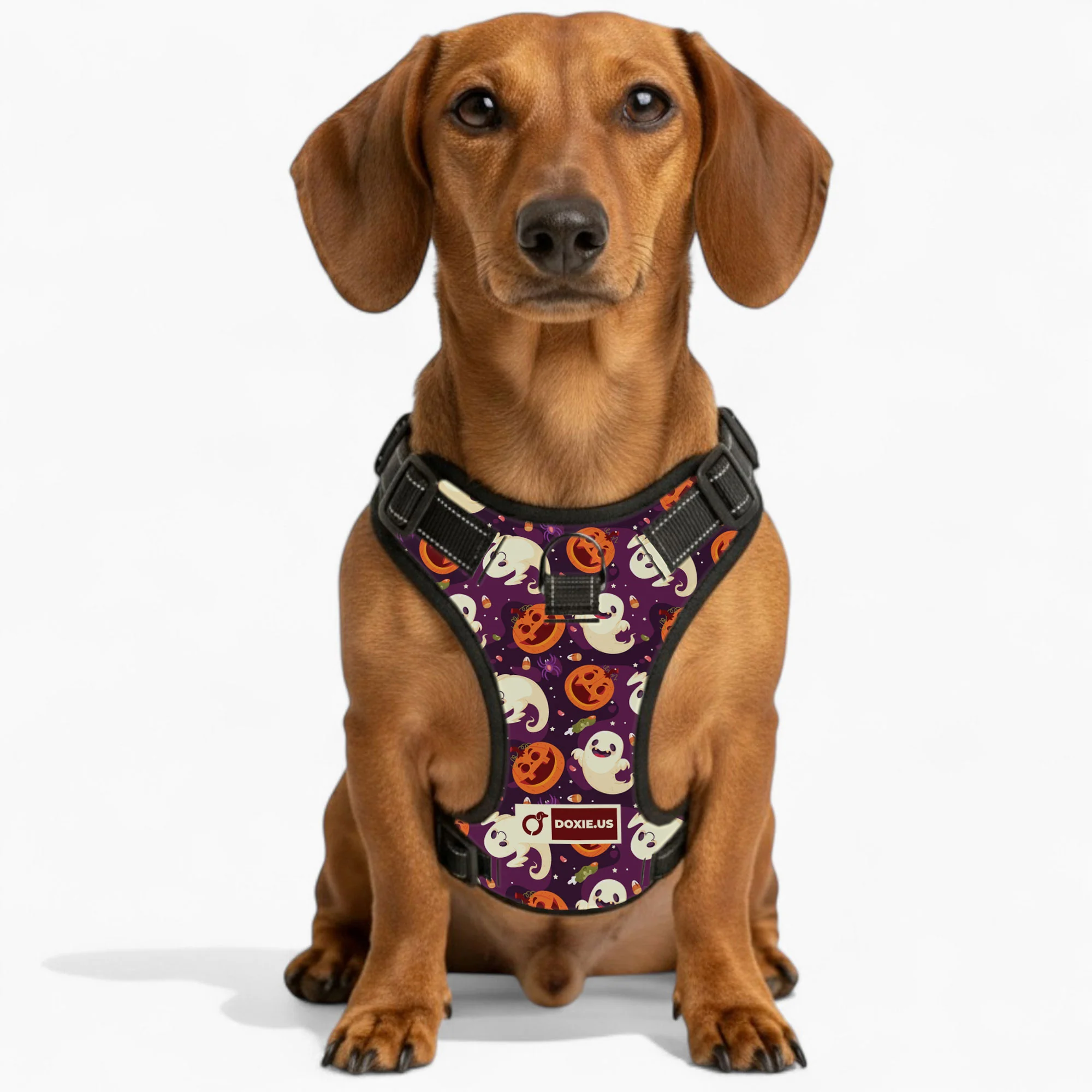 Rosie - No-Pull Dachshund Dog Harness - Image 2