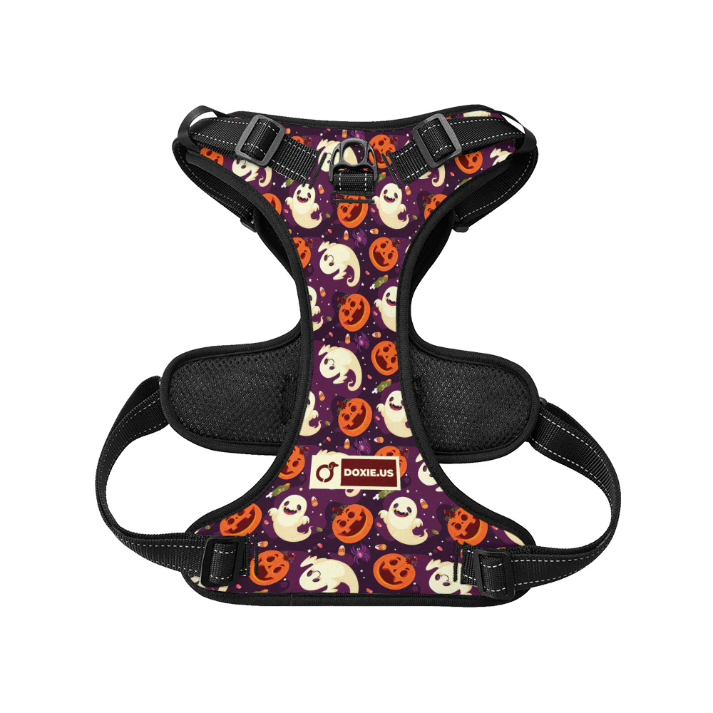Rosie - No-Pull Dachshund Dog Harness - Image 5