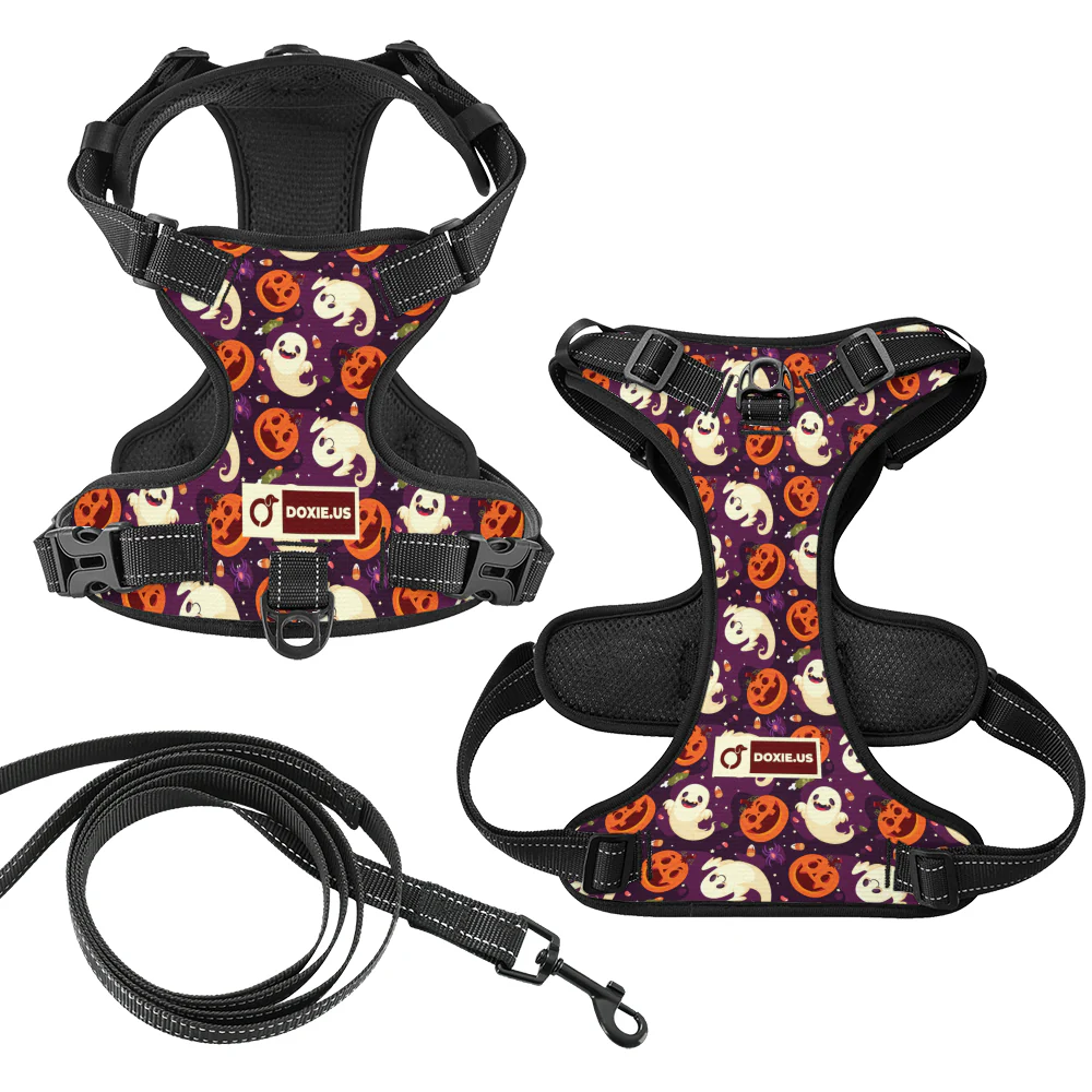 Rosie - No-Pull Dachshund Dog Harness - Image 7