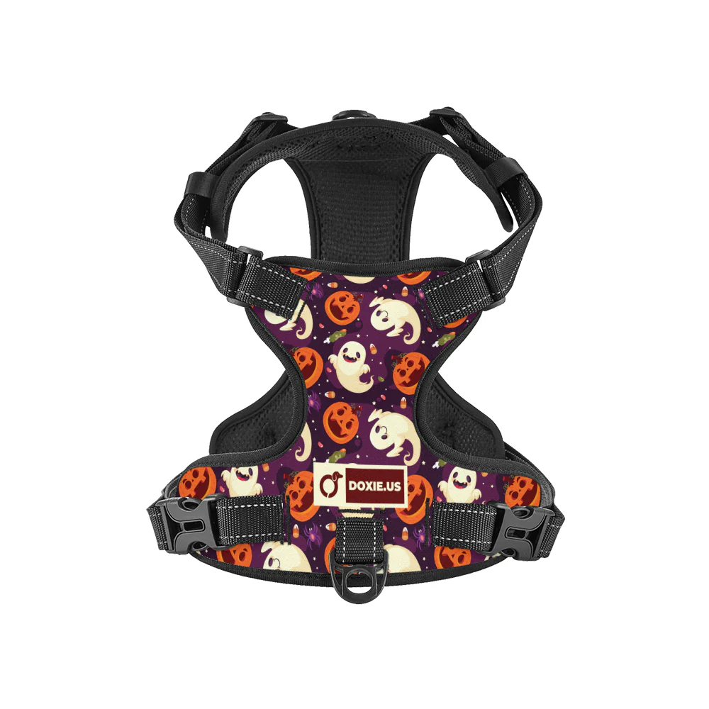 Rosie - No-Pull Dachshund Dog Harness - Image 8