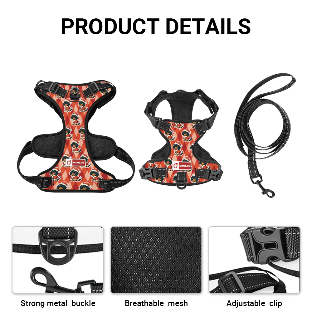 Jack -  No-Pull Dachshund Dog Harness - Image 9