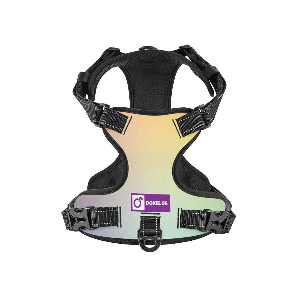 Simone - No-Pull Dachshund Dog Harness - Image 5