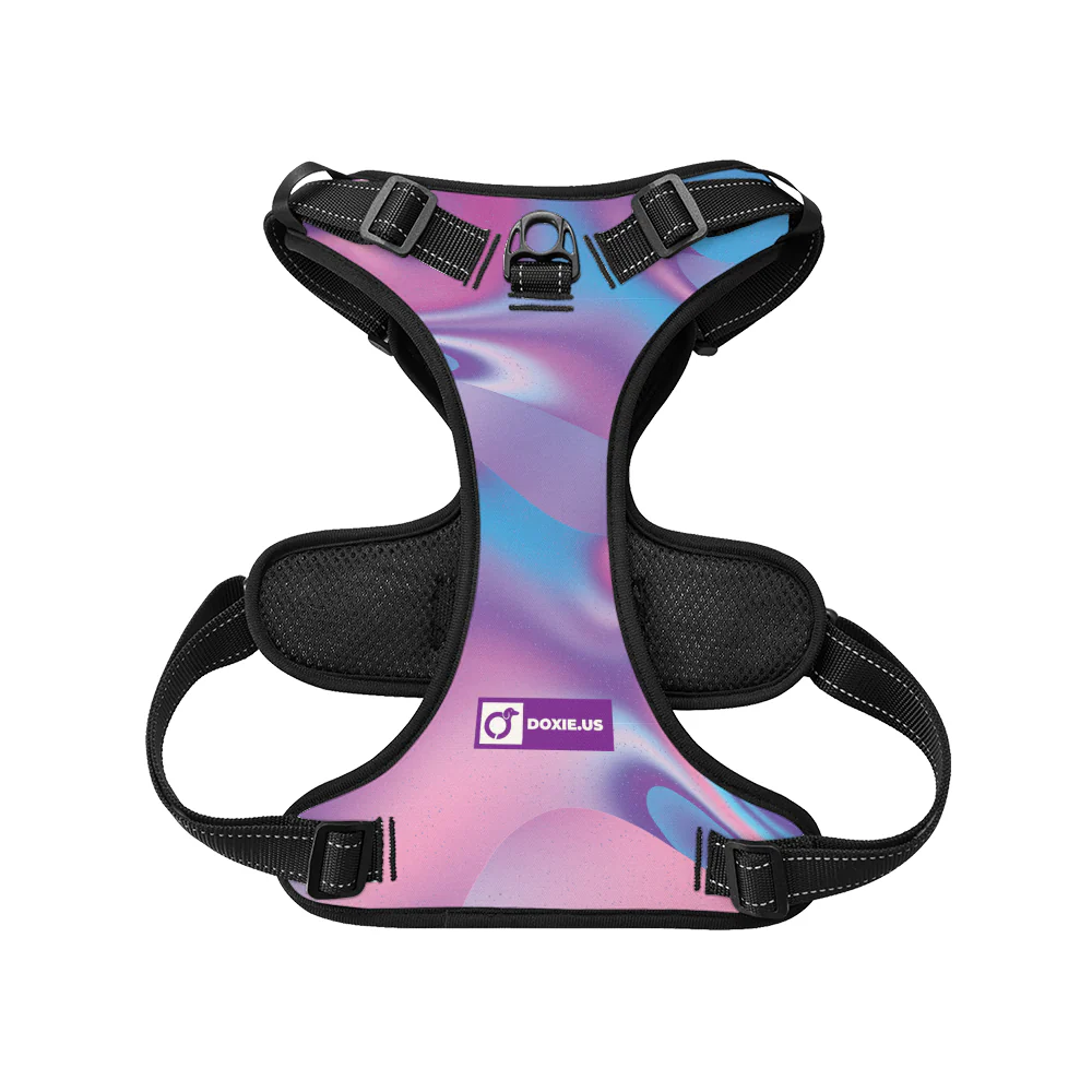 Betty - No-Pull Dachshund Dog Harness - Image 3