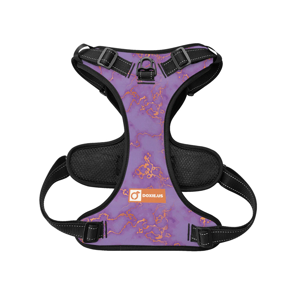 Buster - No-Pull Dachshund Dog Harness - Image 3