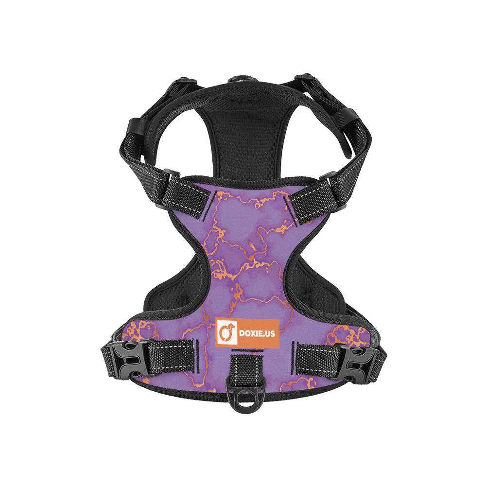 Buster - No-Pull Dachshund Dog Harness - Image 5